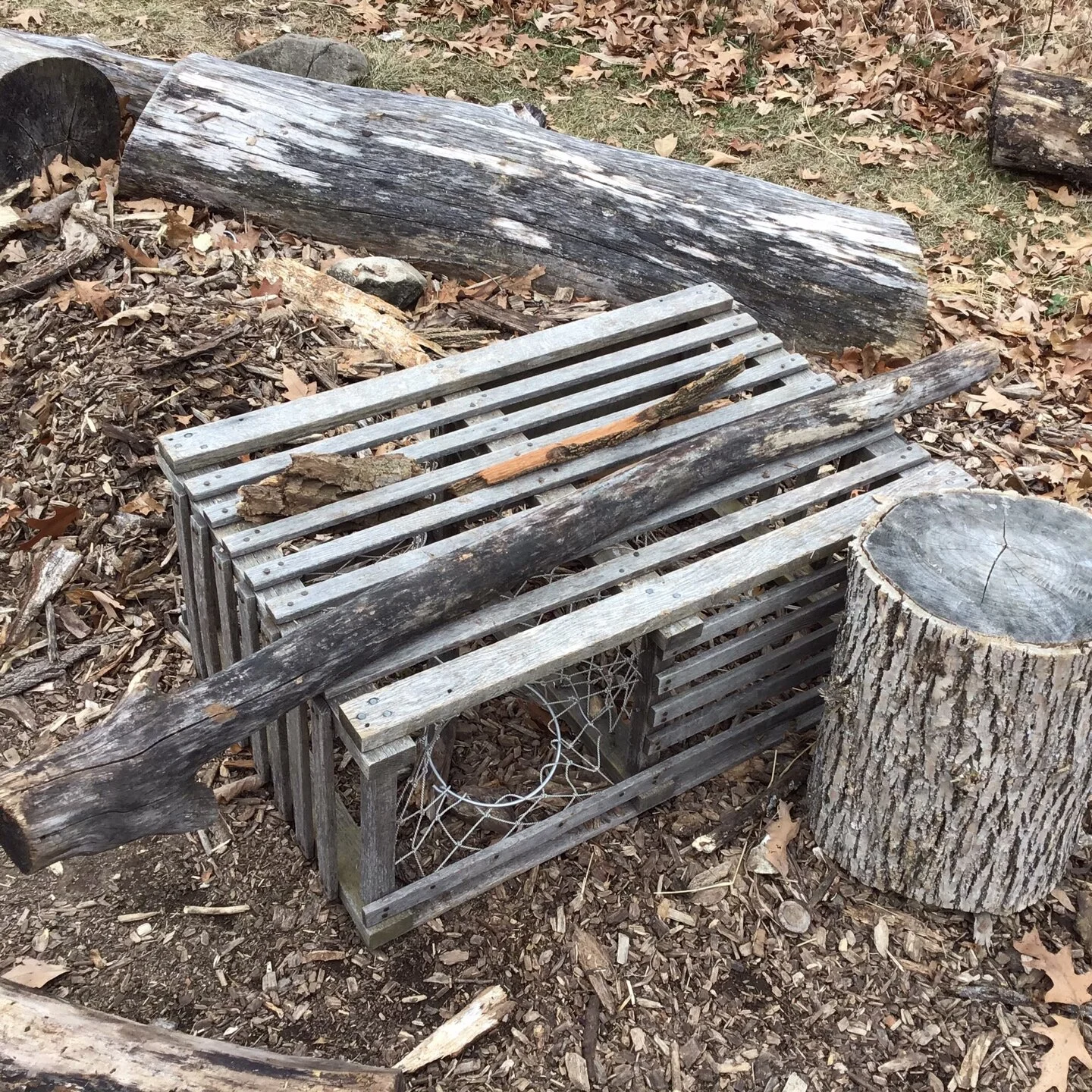 Would you like some wood?