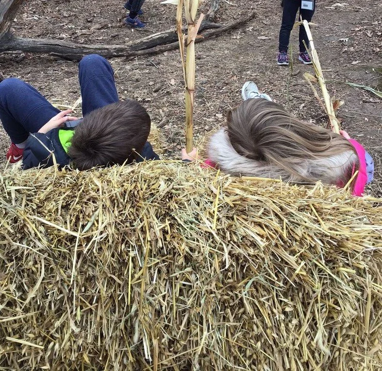 Corn Kingdom
