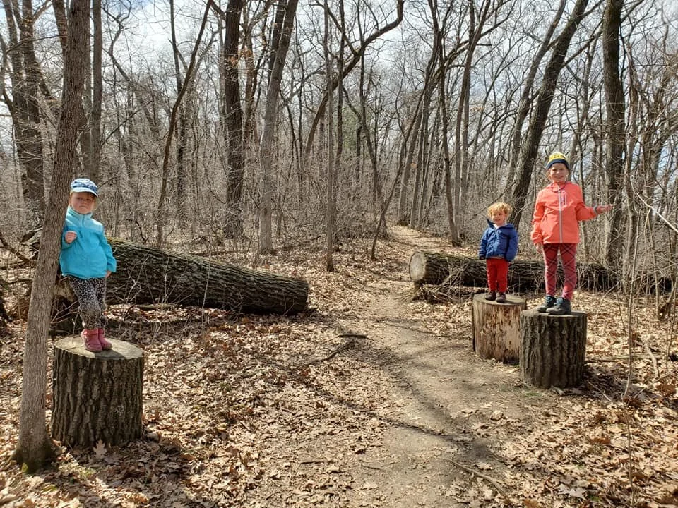 Stump Jumps