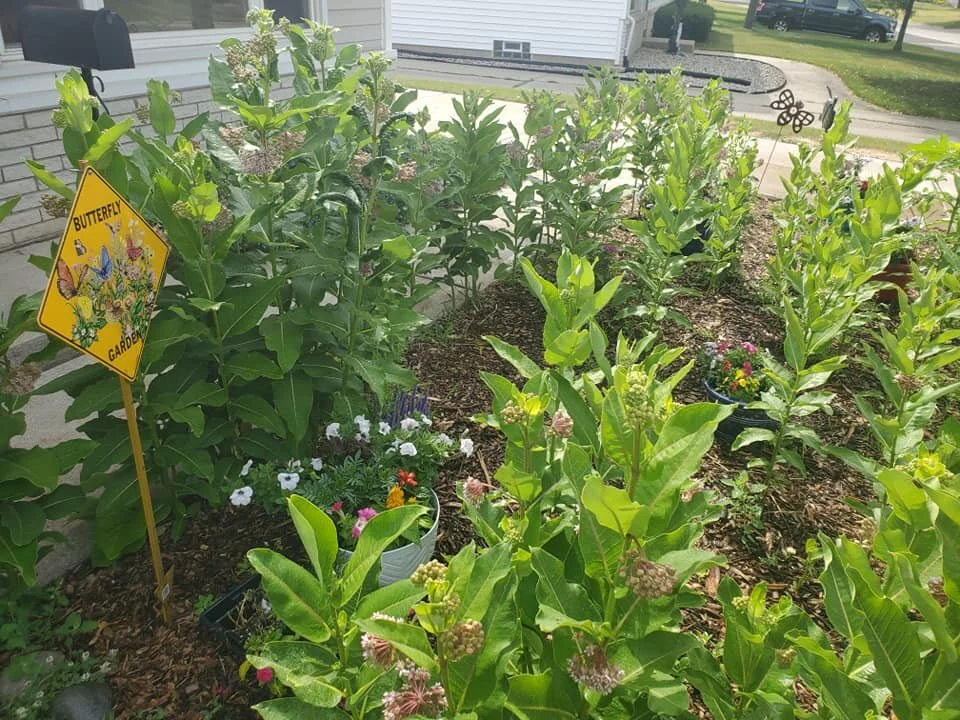 Microprairie