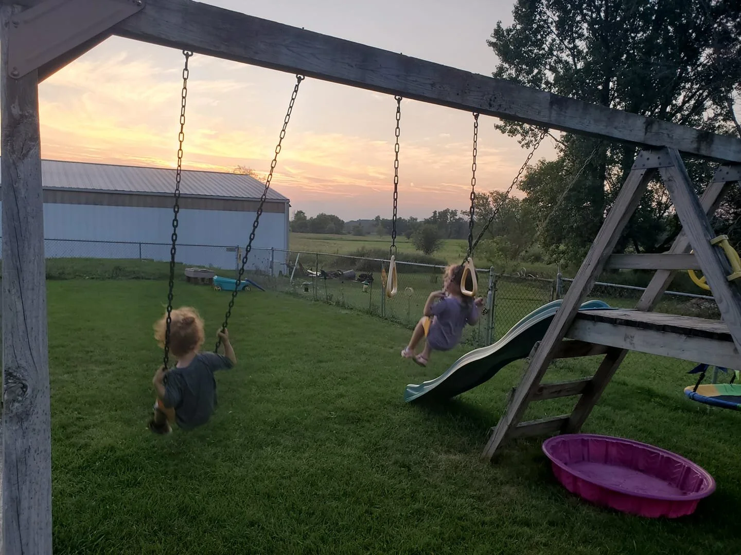 The Farm - Week 4