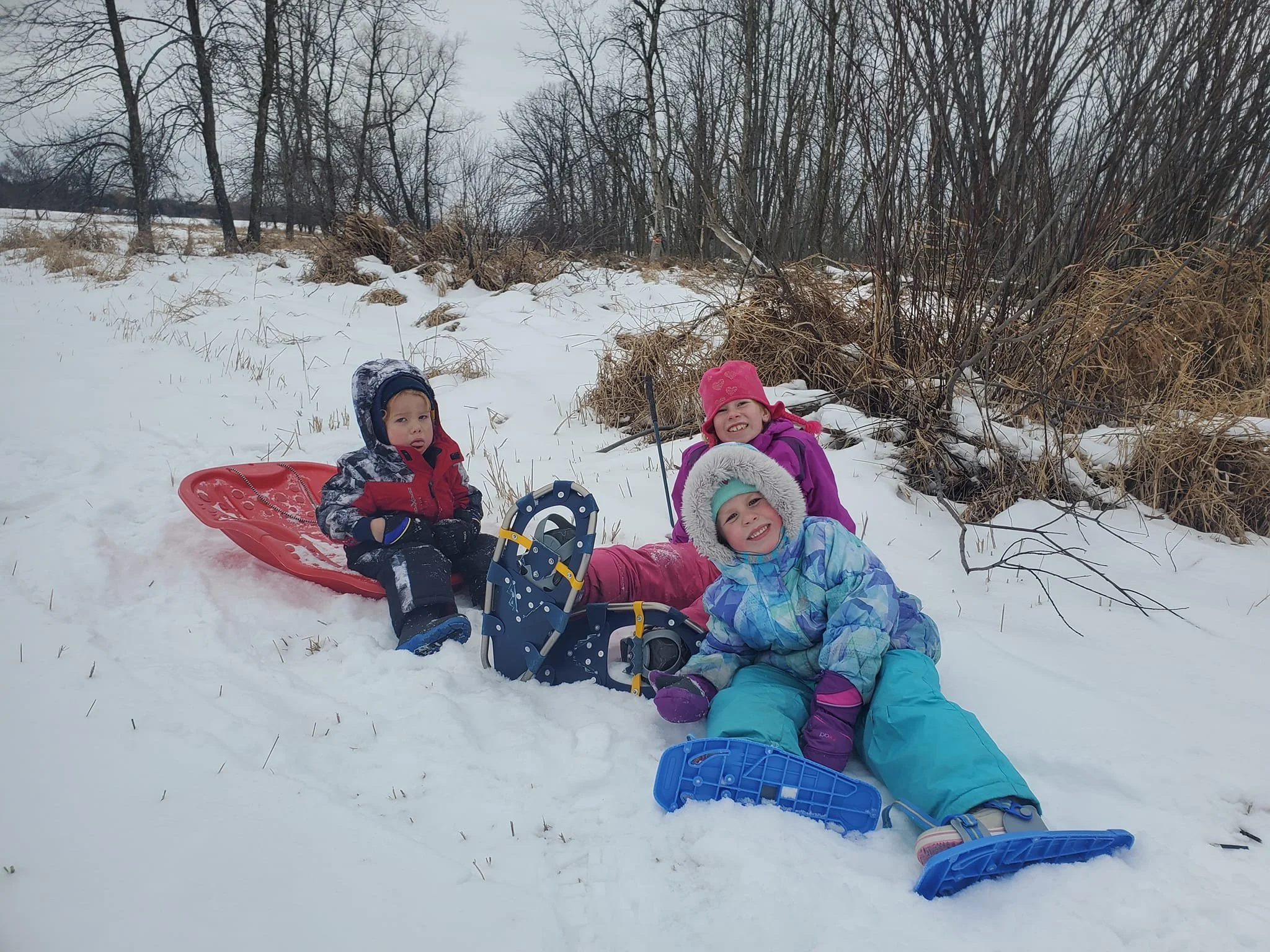 The Farm - Winter Update