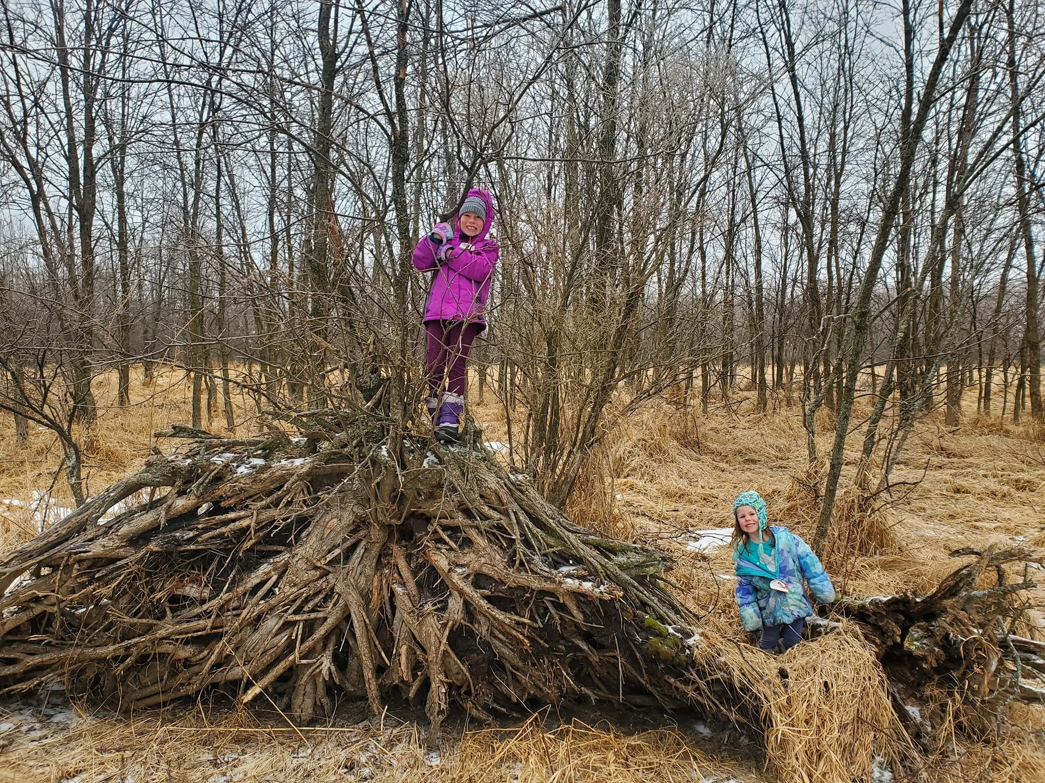 Little Adventures