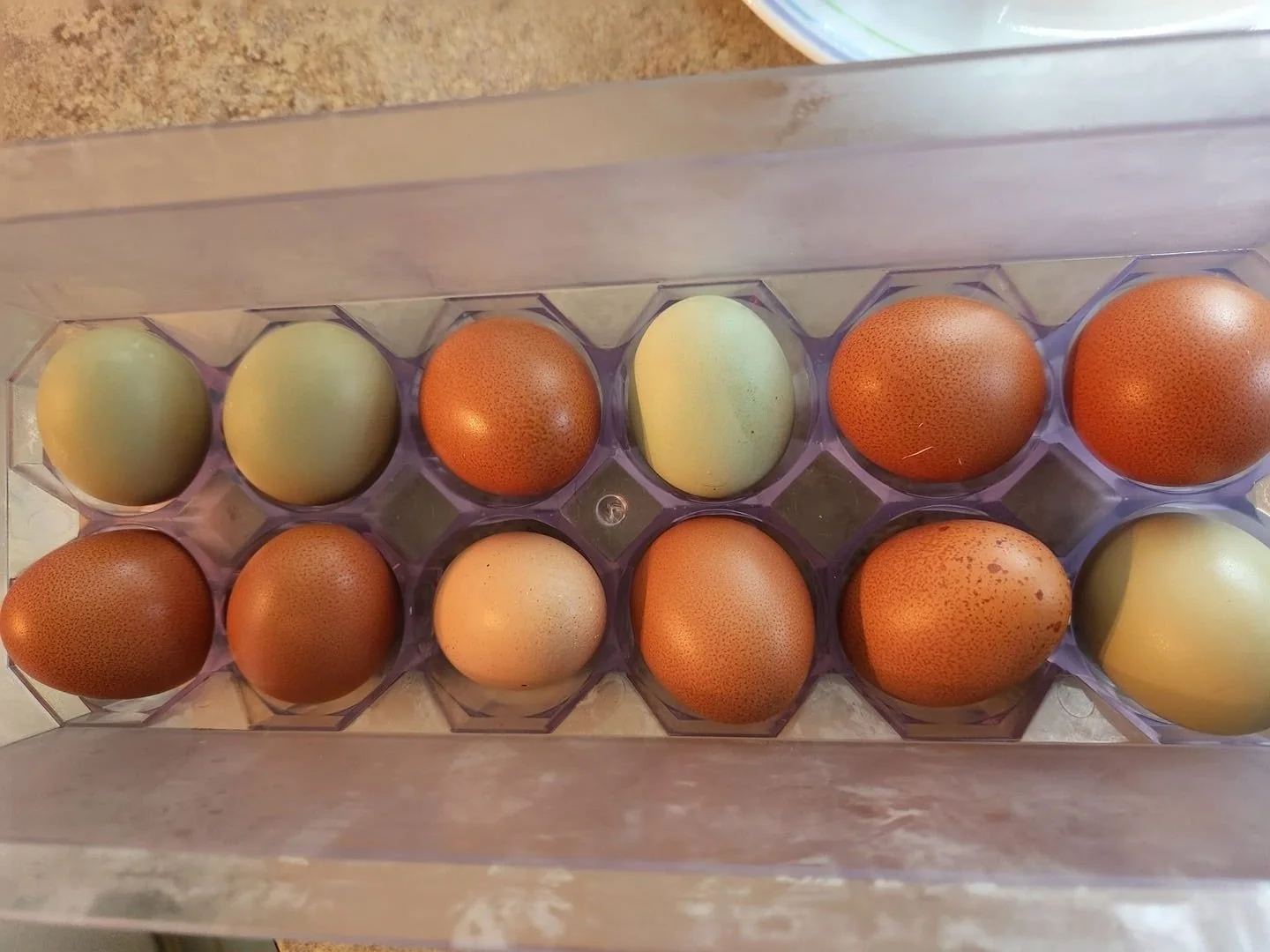 Eggciting
