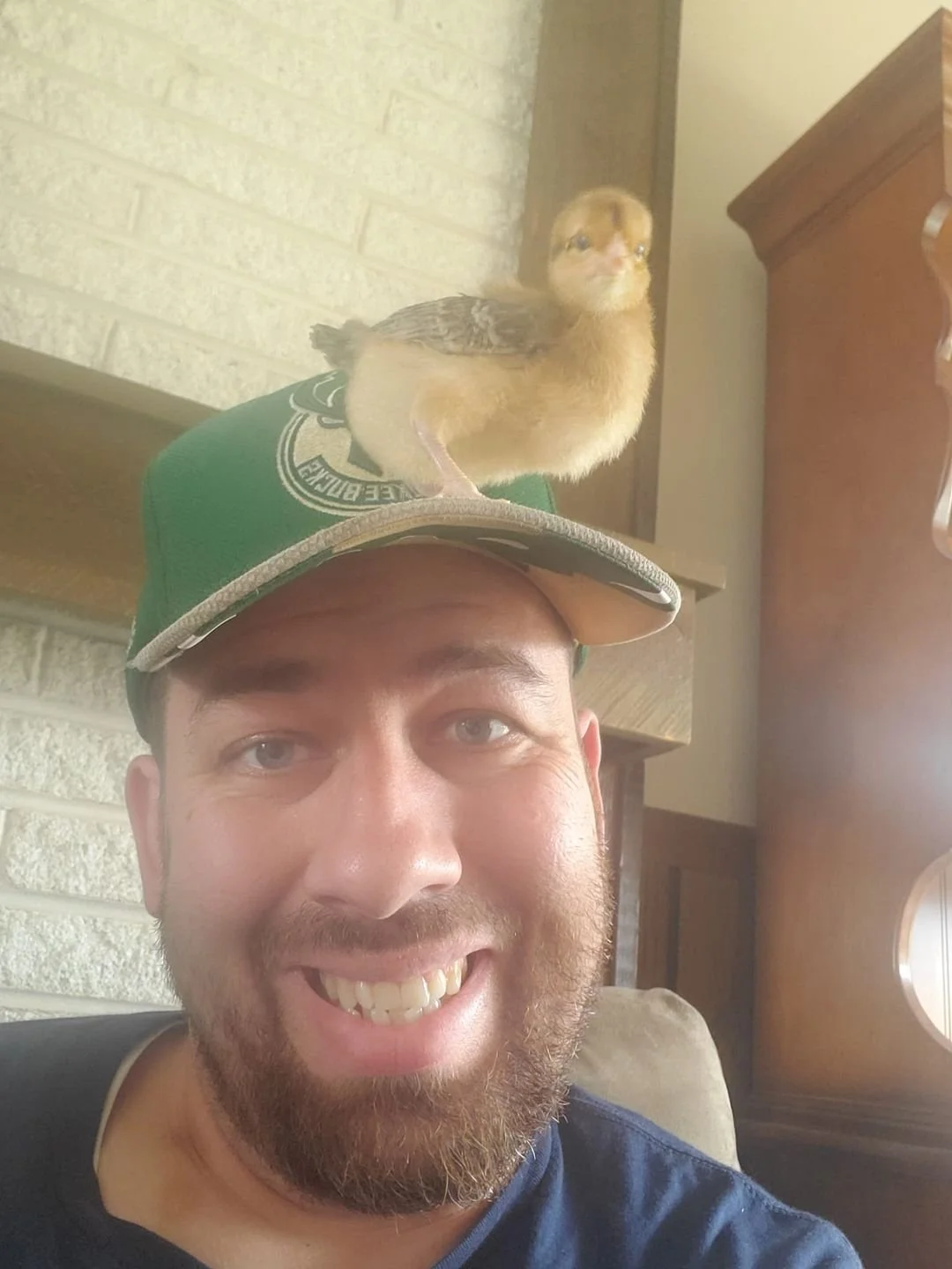 Day 72