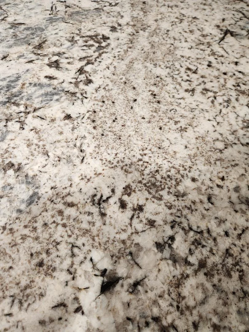 Day 125 - Countertop Chaos