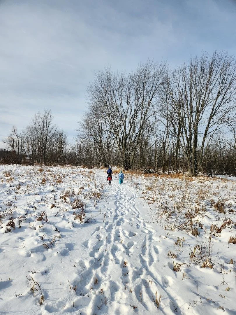 Day 127 - Winter Wonderland