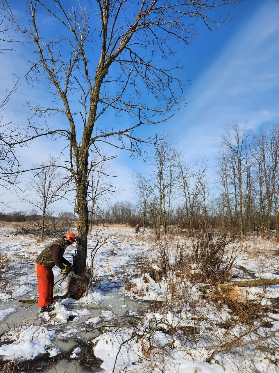 Day 139 - Expensive Error