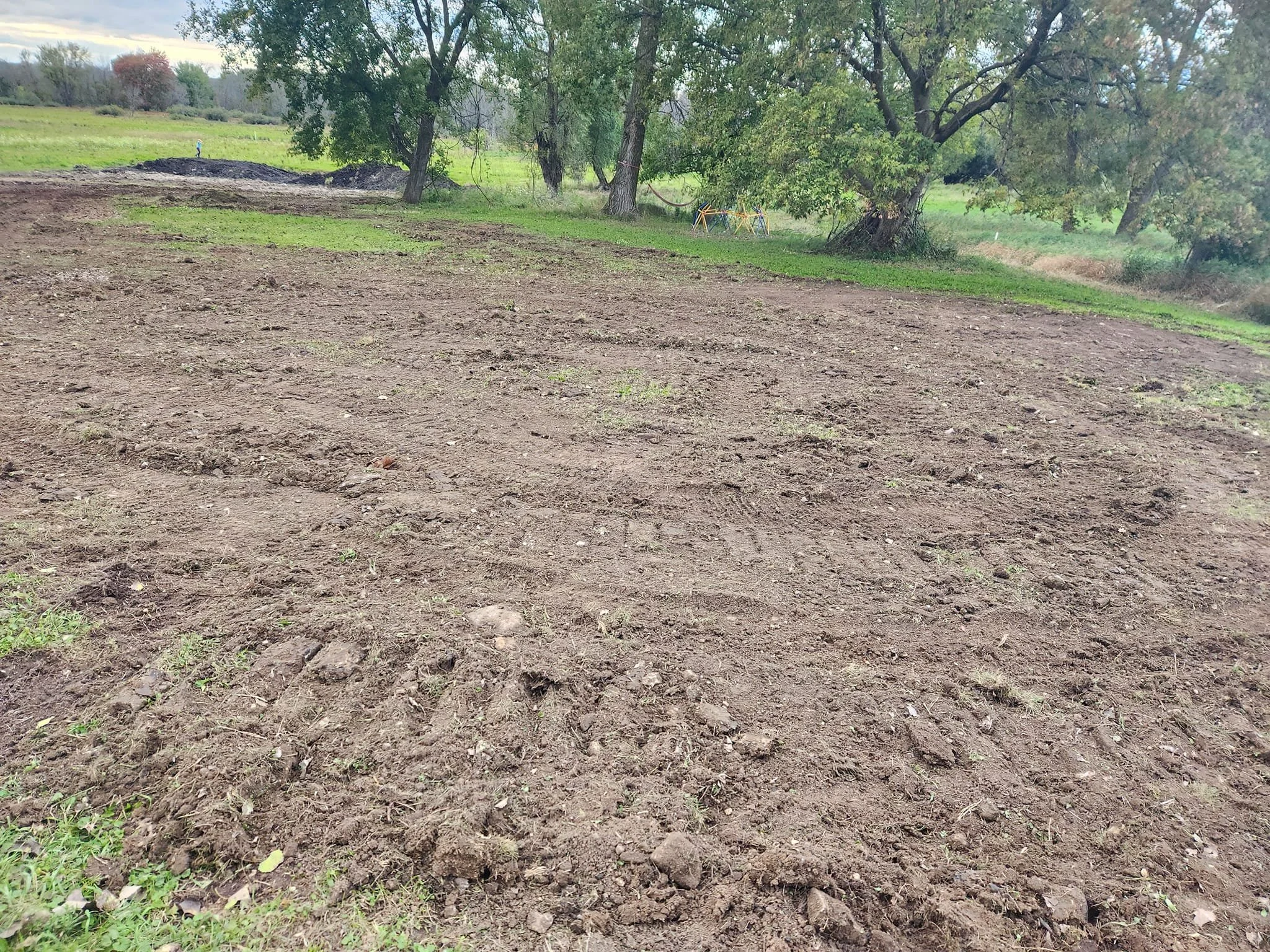 Day 141 - Backyard Overhaul