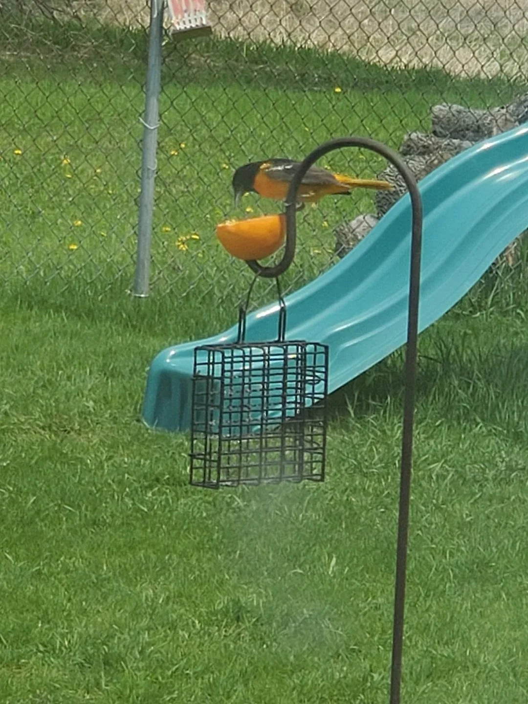 Day 155 - Watching Wildlife