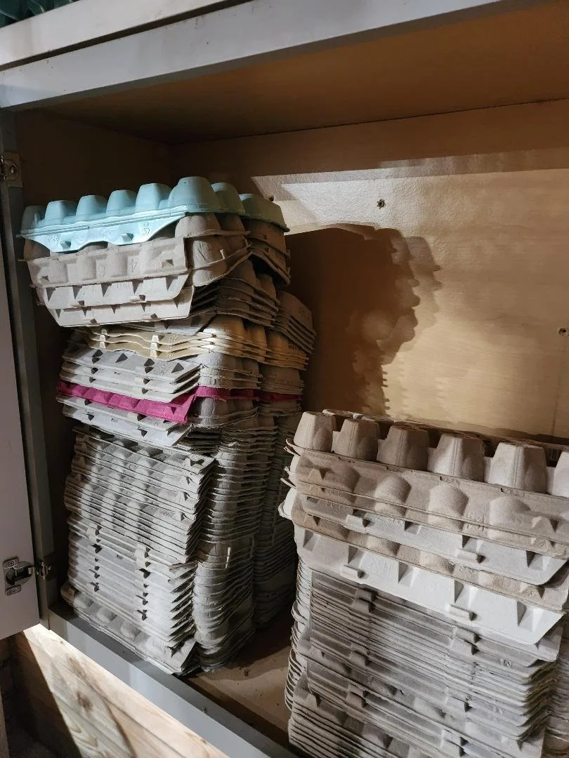 Day 181 - Cartons R’ Us