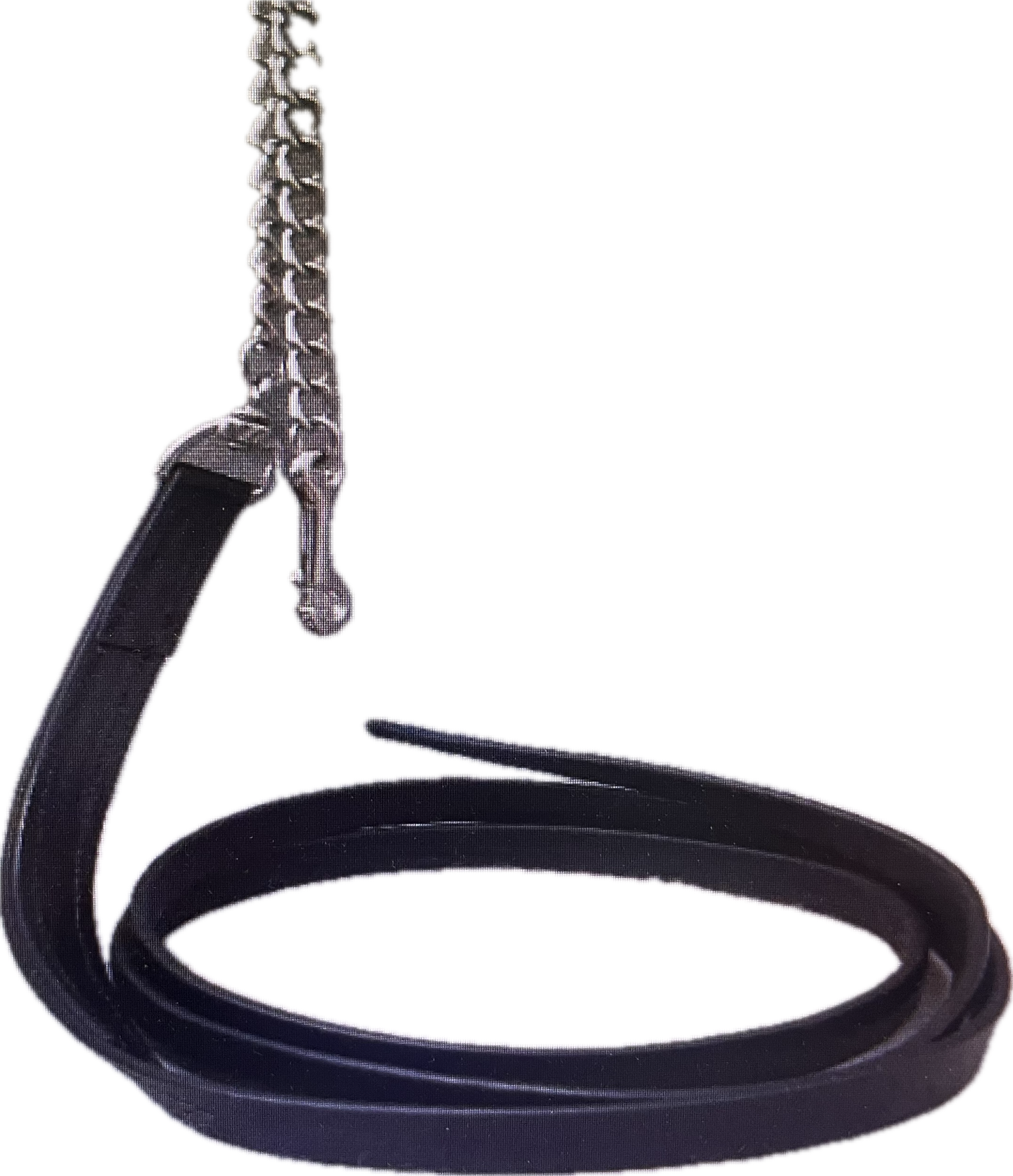 DO Lead Line with lead chain.png