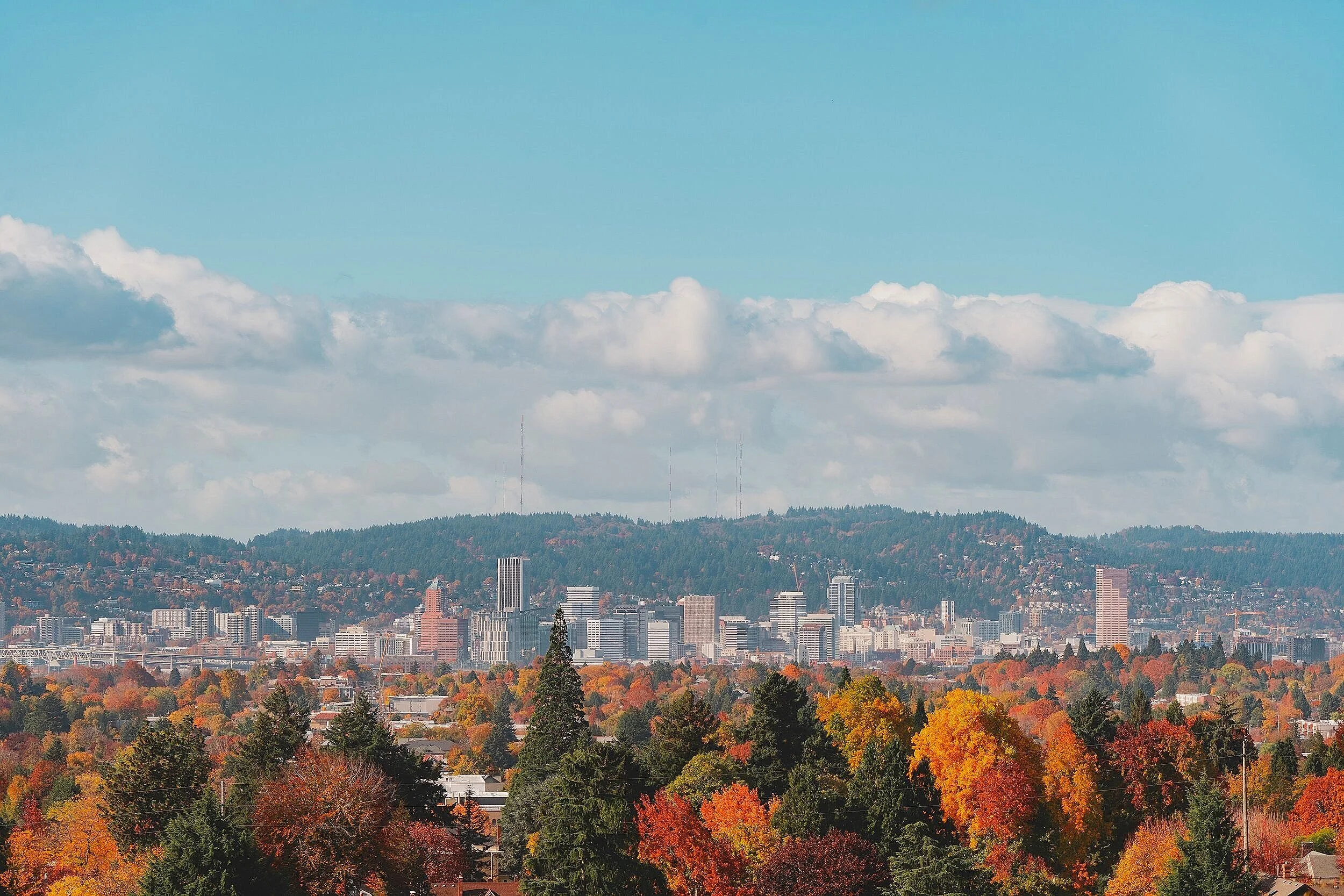 Clayton Williams Portland & SW Washington Real Estate