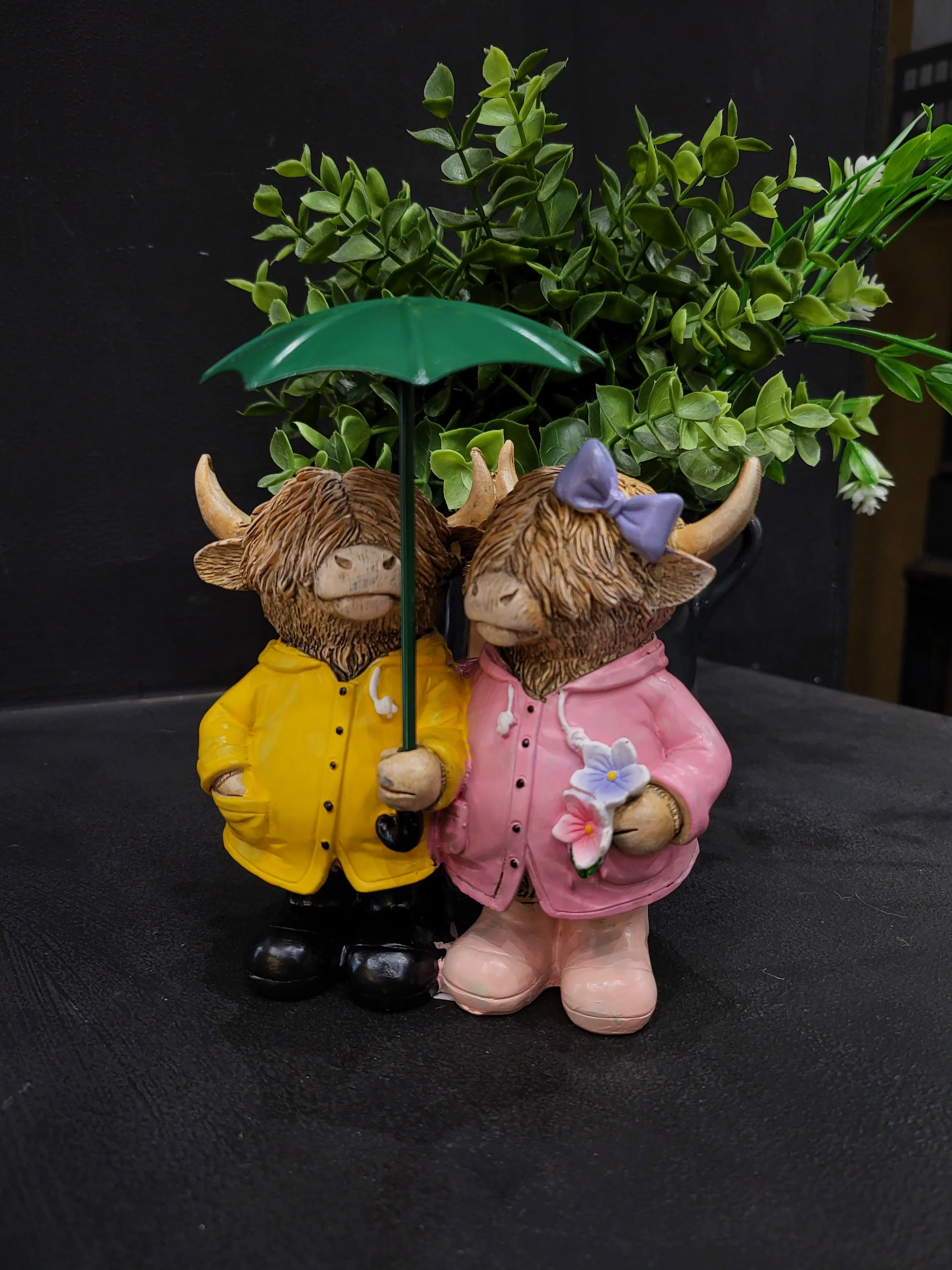 Highland Cow Couple With Umbrella