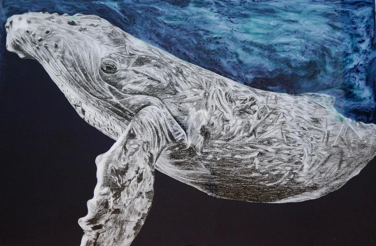 humpback whale ed. 5 / lithographic crayon, acrylic paint, and resin on wood panel / 24" x 36"