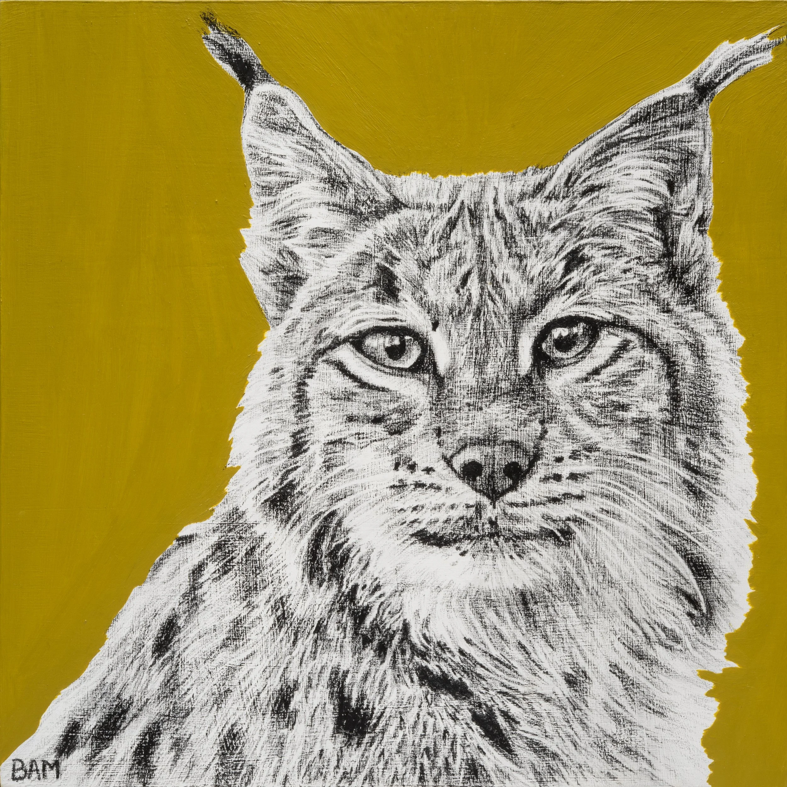 lynx / lithographic crayon, acrylic paint, resin on wood panel / 12" x 12"