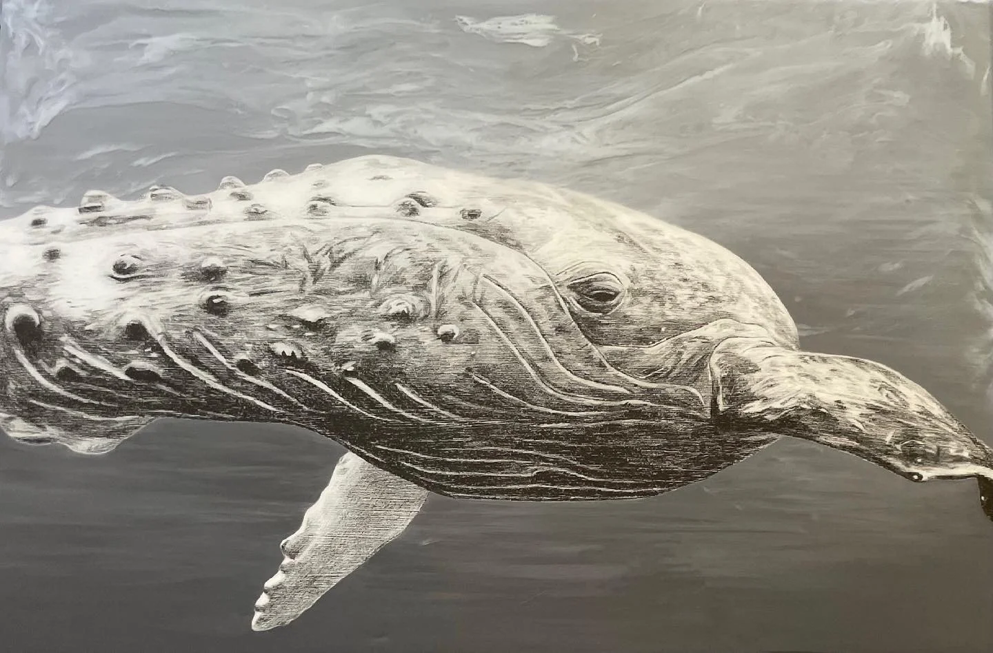 humpback whale ed. 4 / lithographic crayon, acrylic paint, and resin on wood panel / 24" x 36"