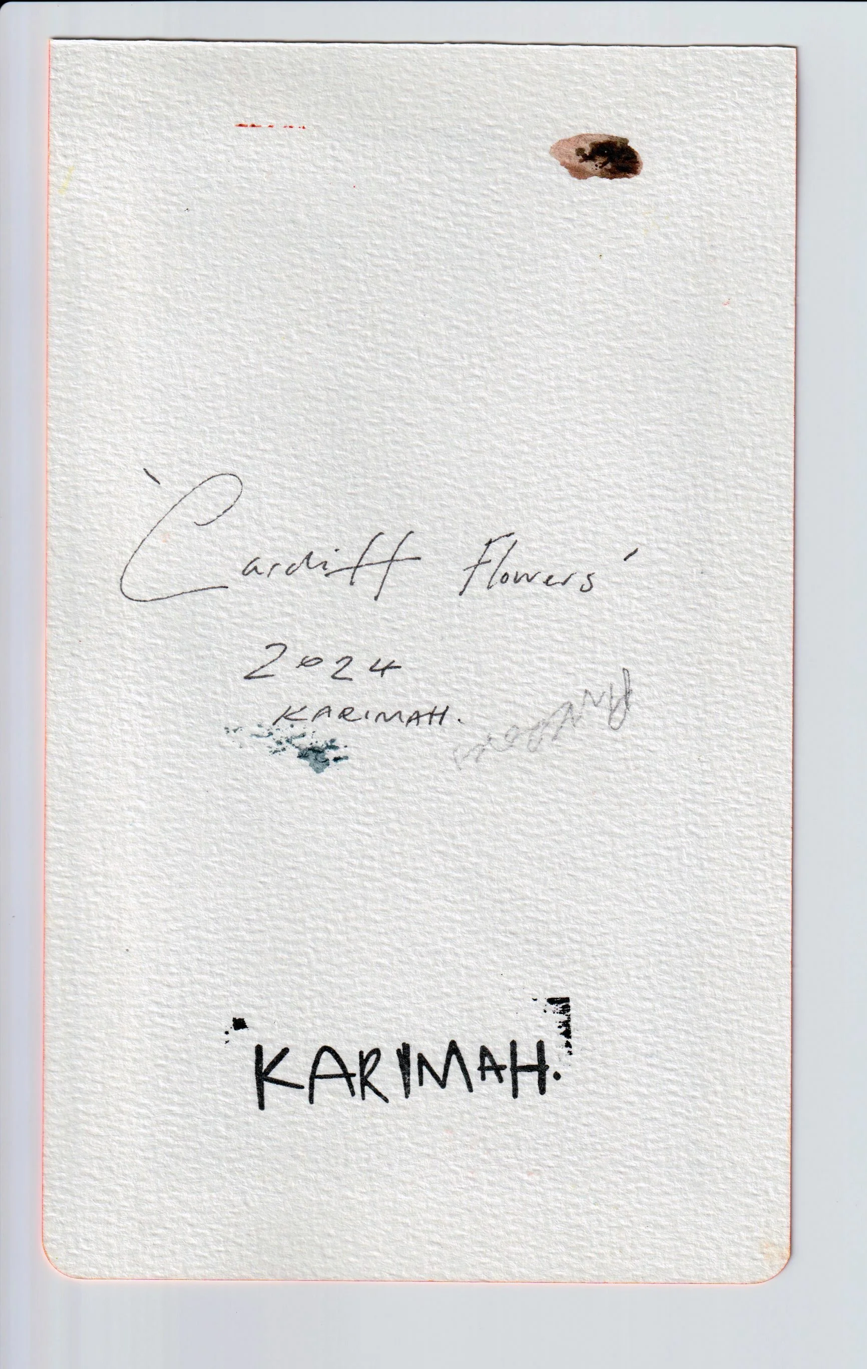 Cardiff Flowers Back.jpeg