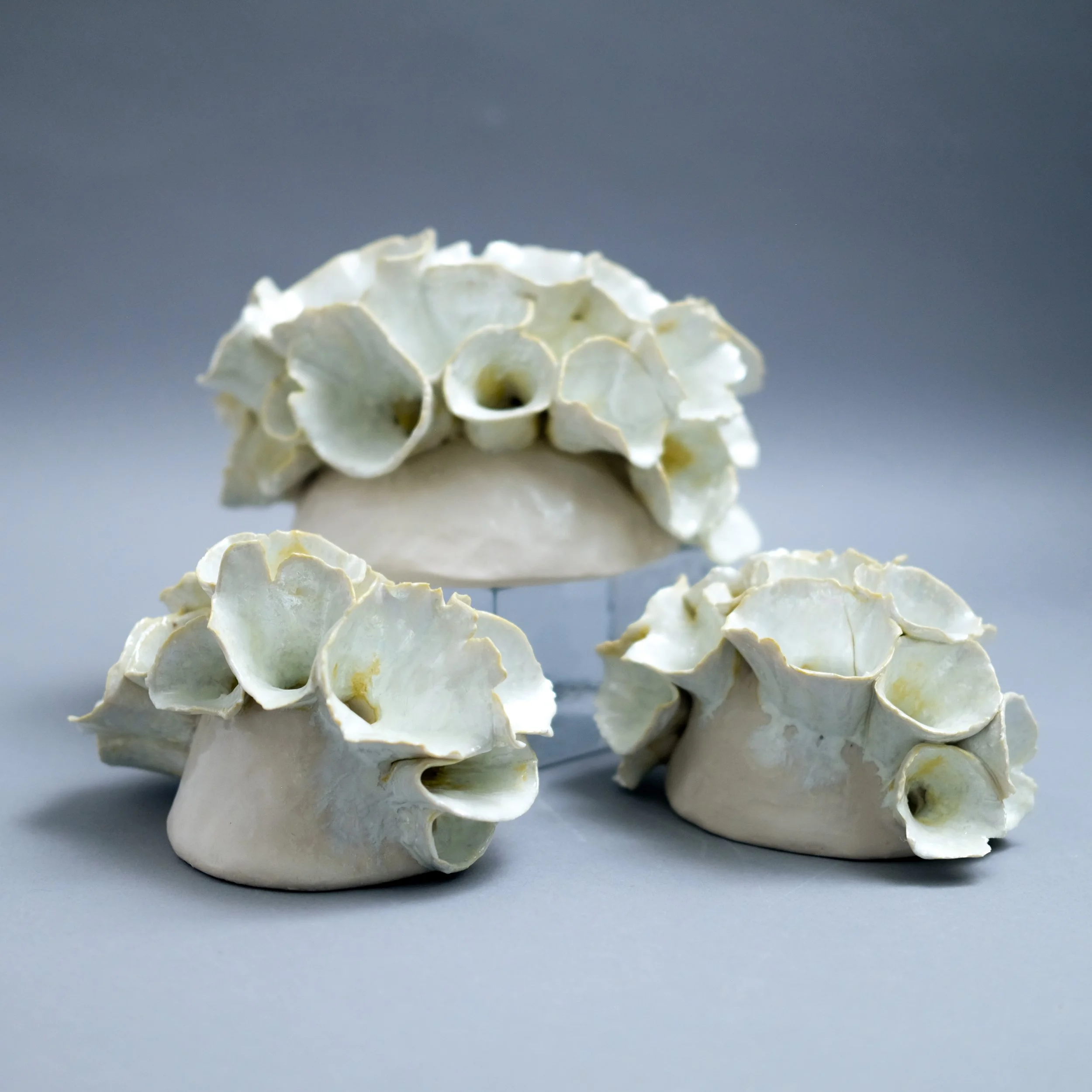 2025 Mastic Beach Conservancy Bivalve Ball Awards 