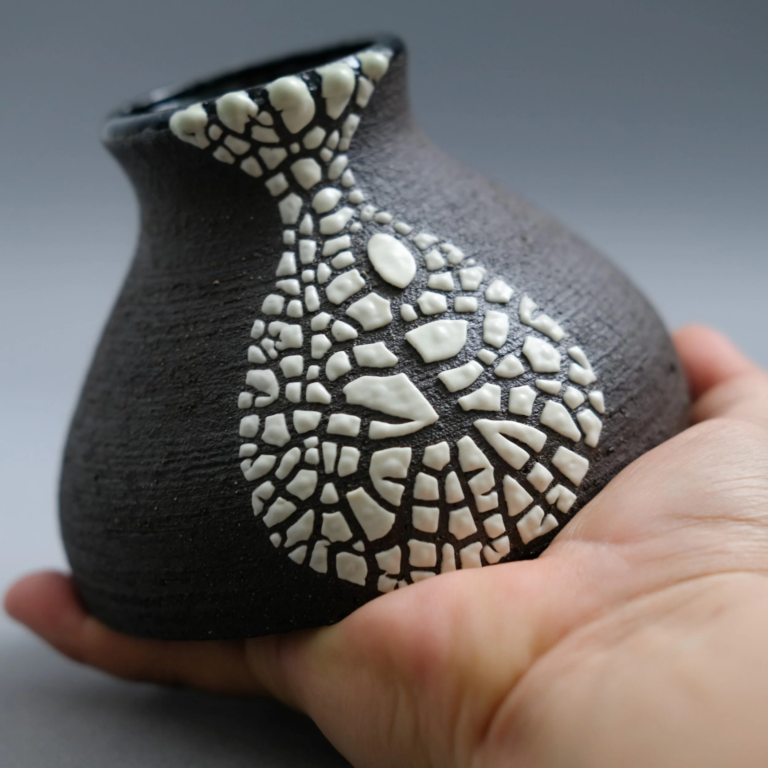 Signature Collection 