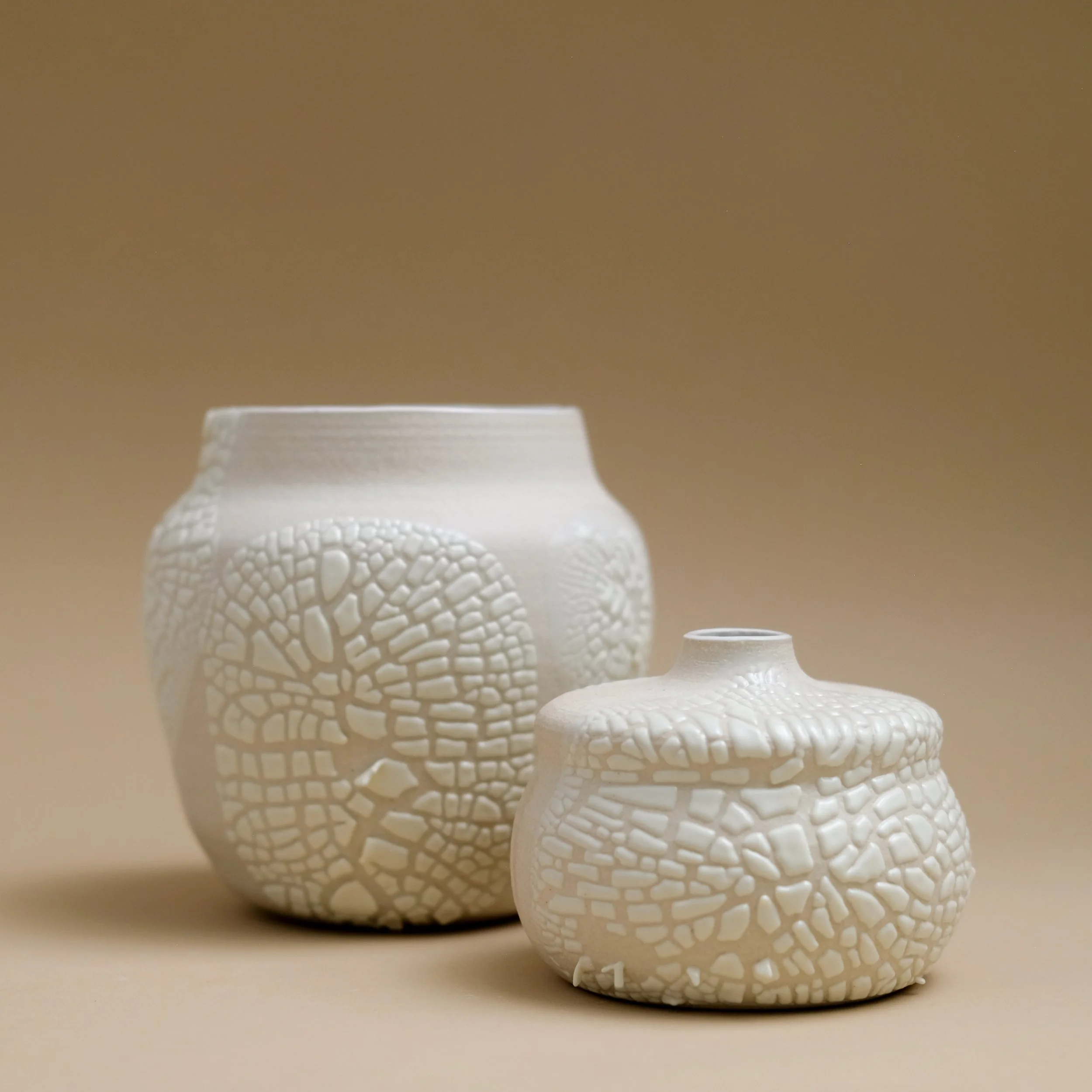 Signature Collection 