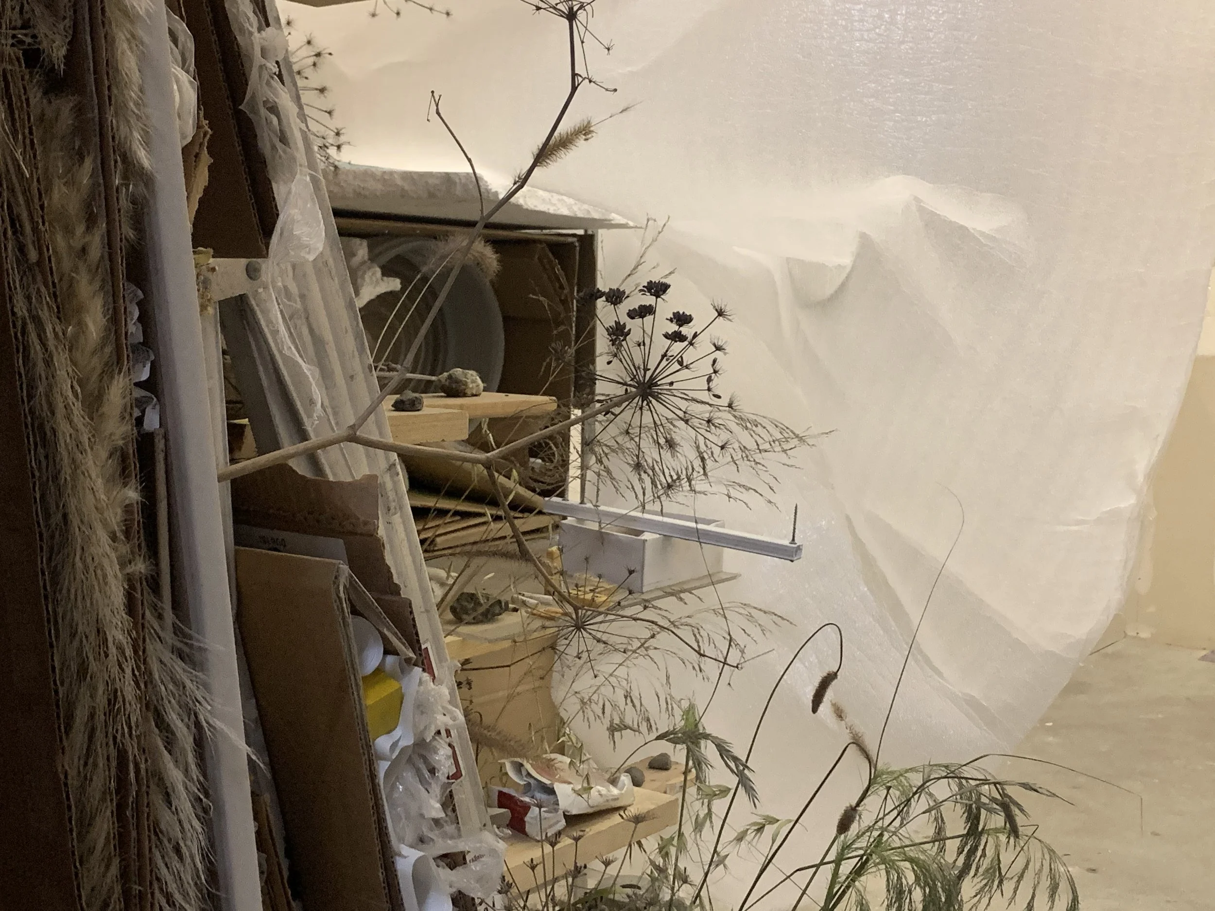 Layered Daze on Mango Haze, 2021, Mixed media, Dimensions variable