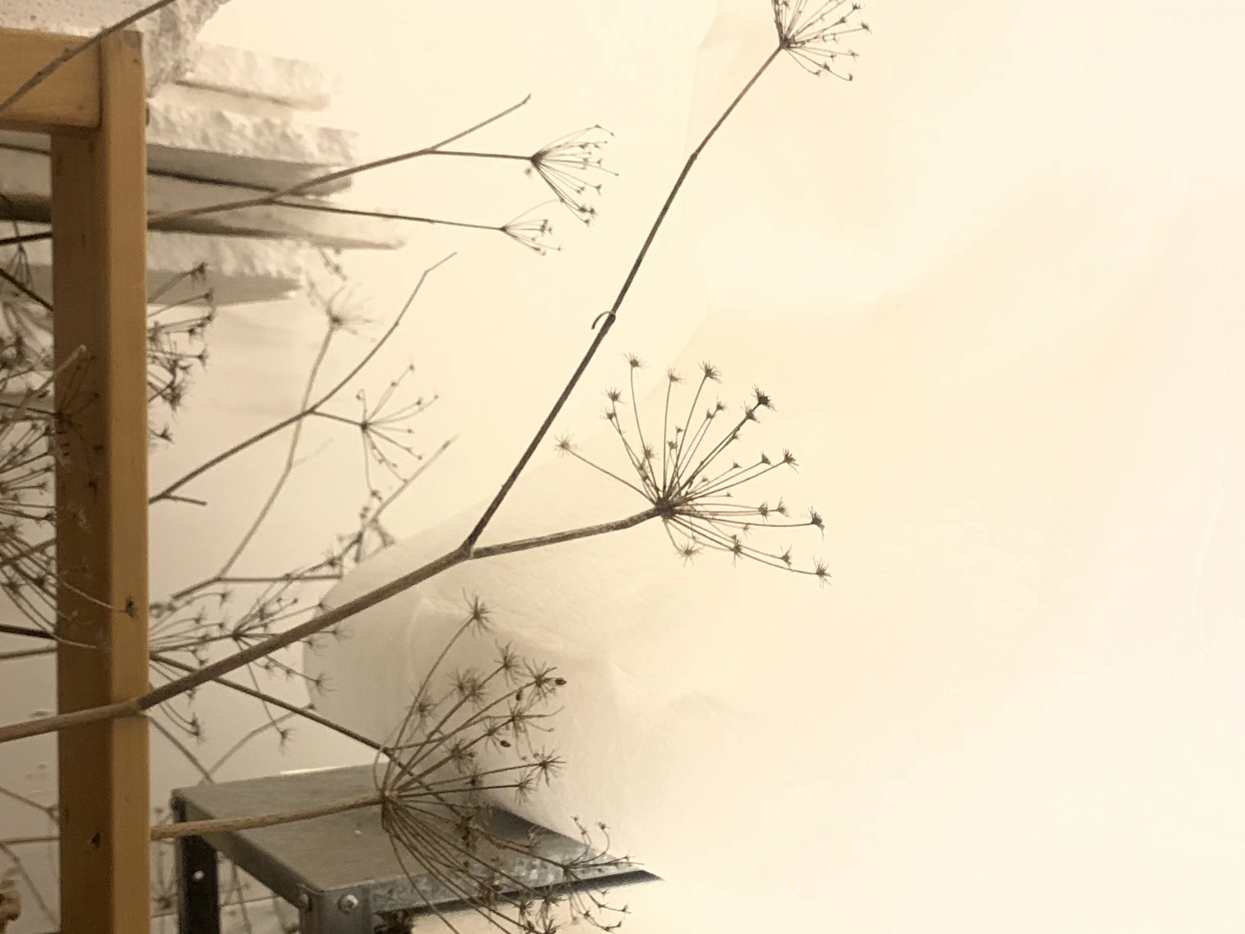 Layered Daze on Mango Haze, 2021, Mixed media, Dimensions variable