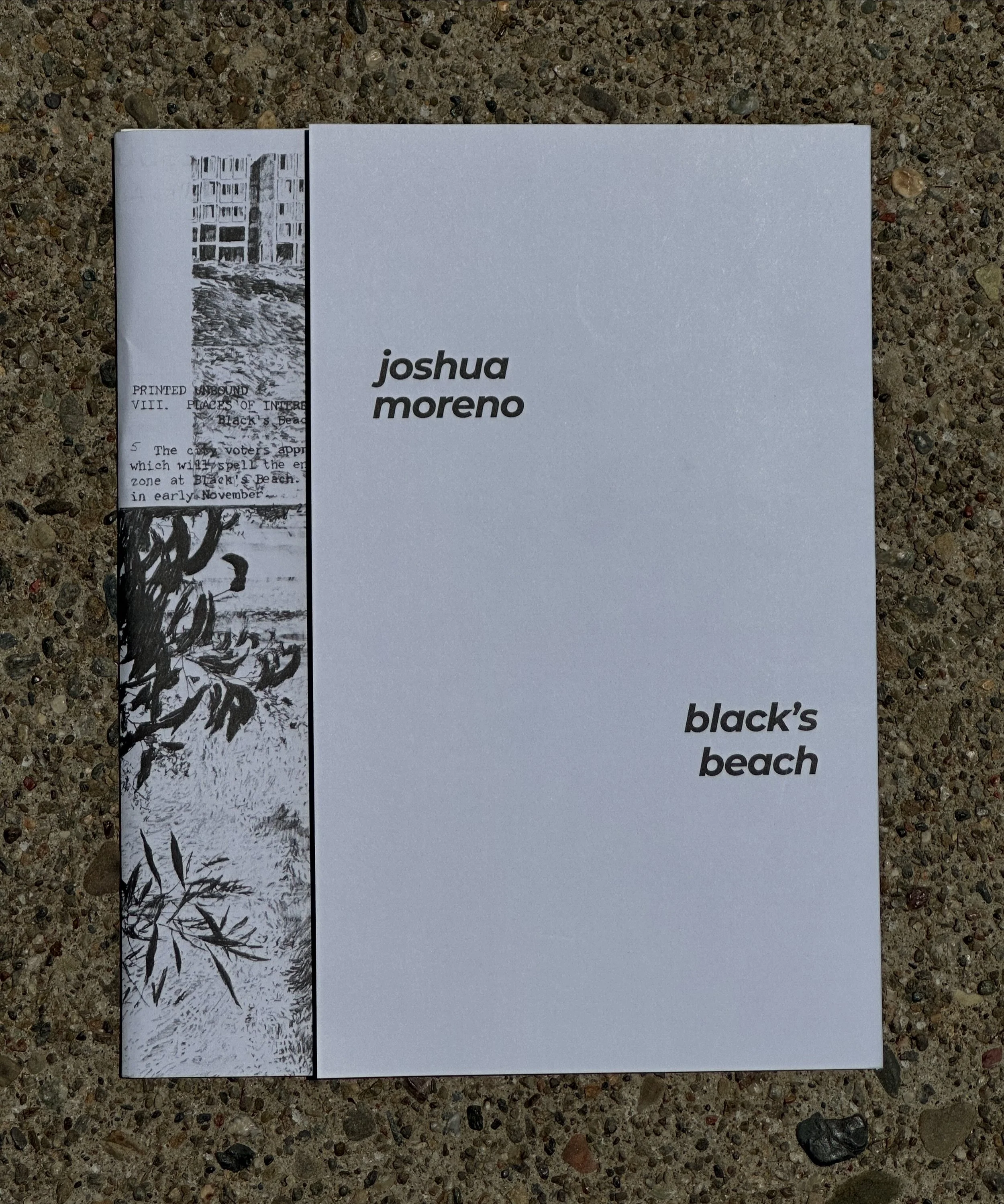 Black's Beach (Prints)
