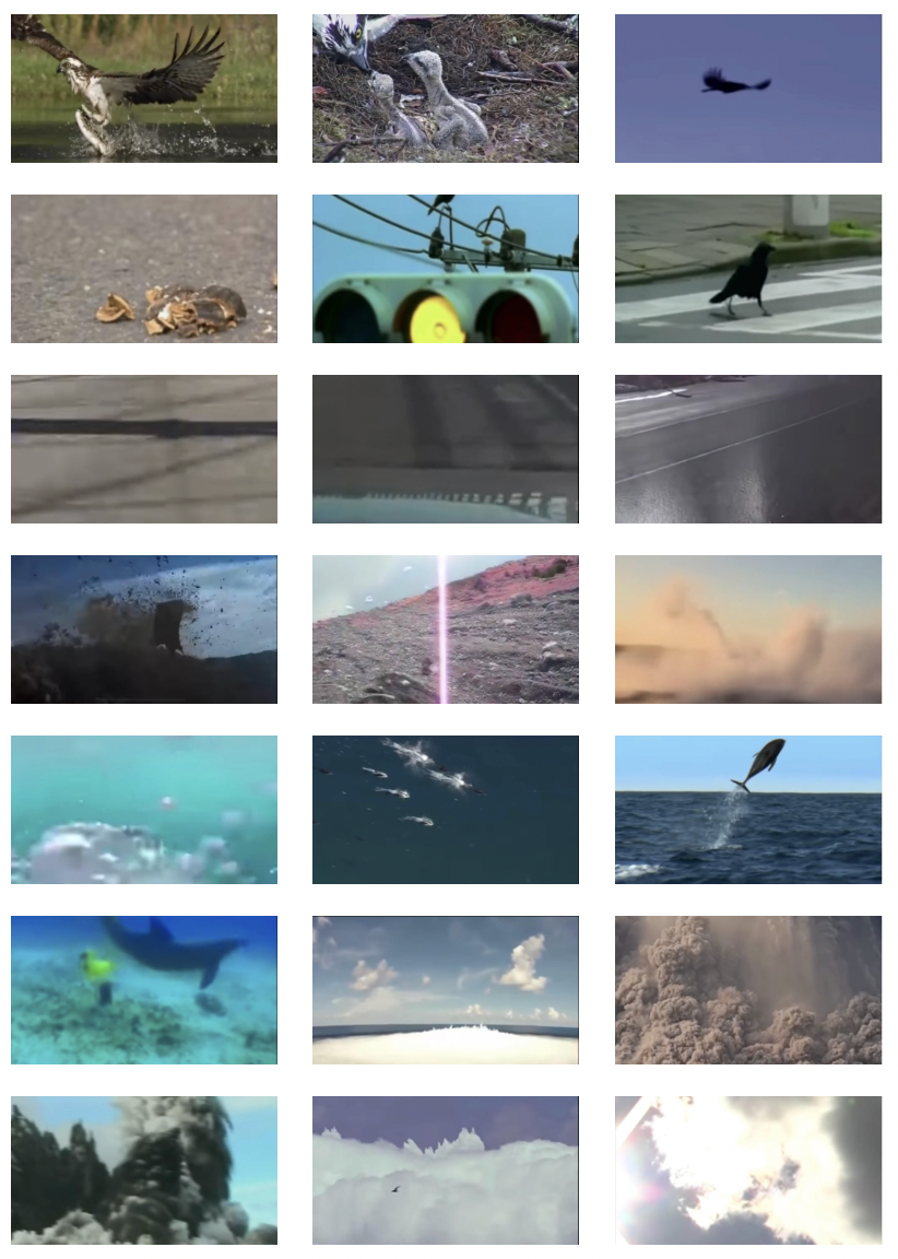 What Goes (film stills), 2020, video, 25 mins