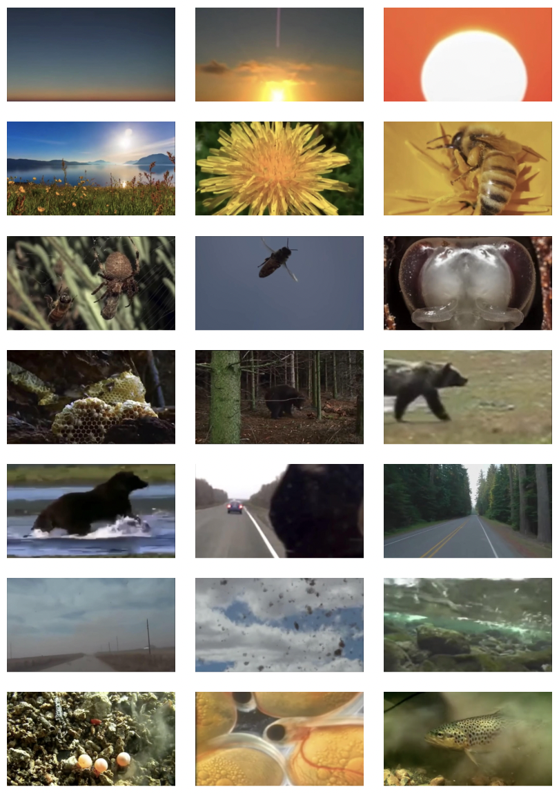 What Goes (film stills), 2020, video, 25 mins