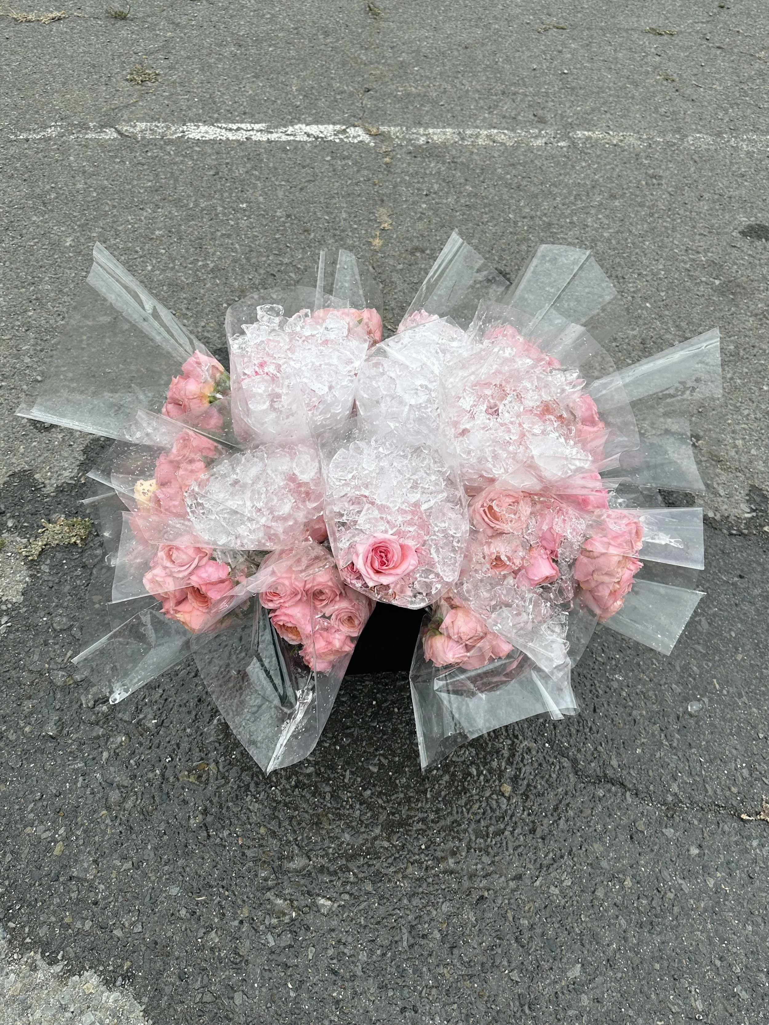 Take a picture, it'll last longer, 2026, Roses, ice, bucket, and plastic, Dimensions variable