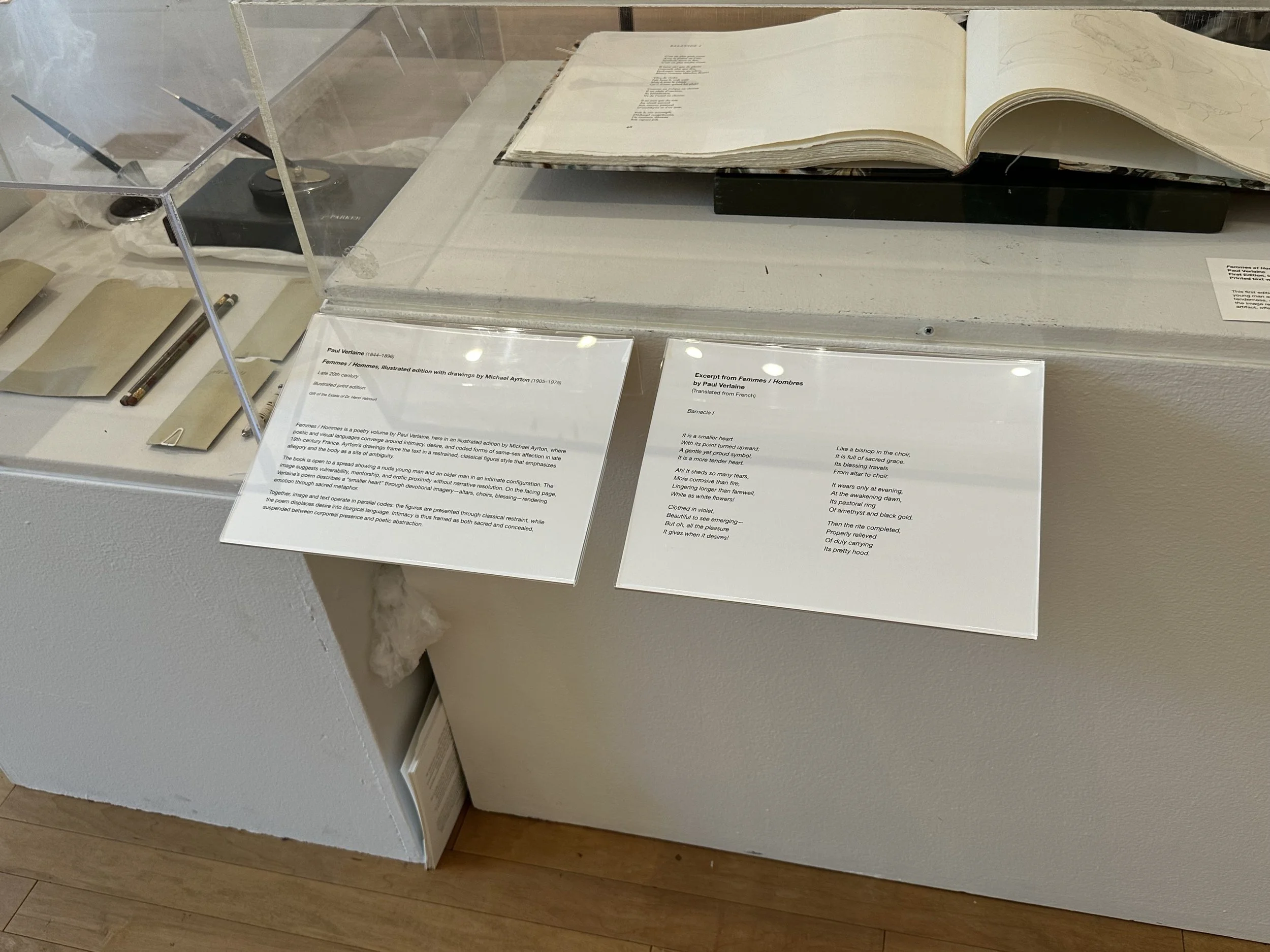 The Things We Did & Didn't Do, 2026, Archives from the Santa Cruz Museum of Art & History, found objects, 900 sq ft. 
