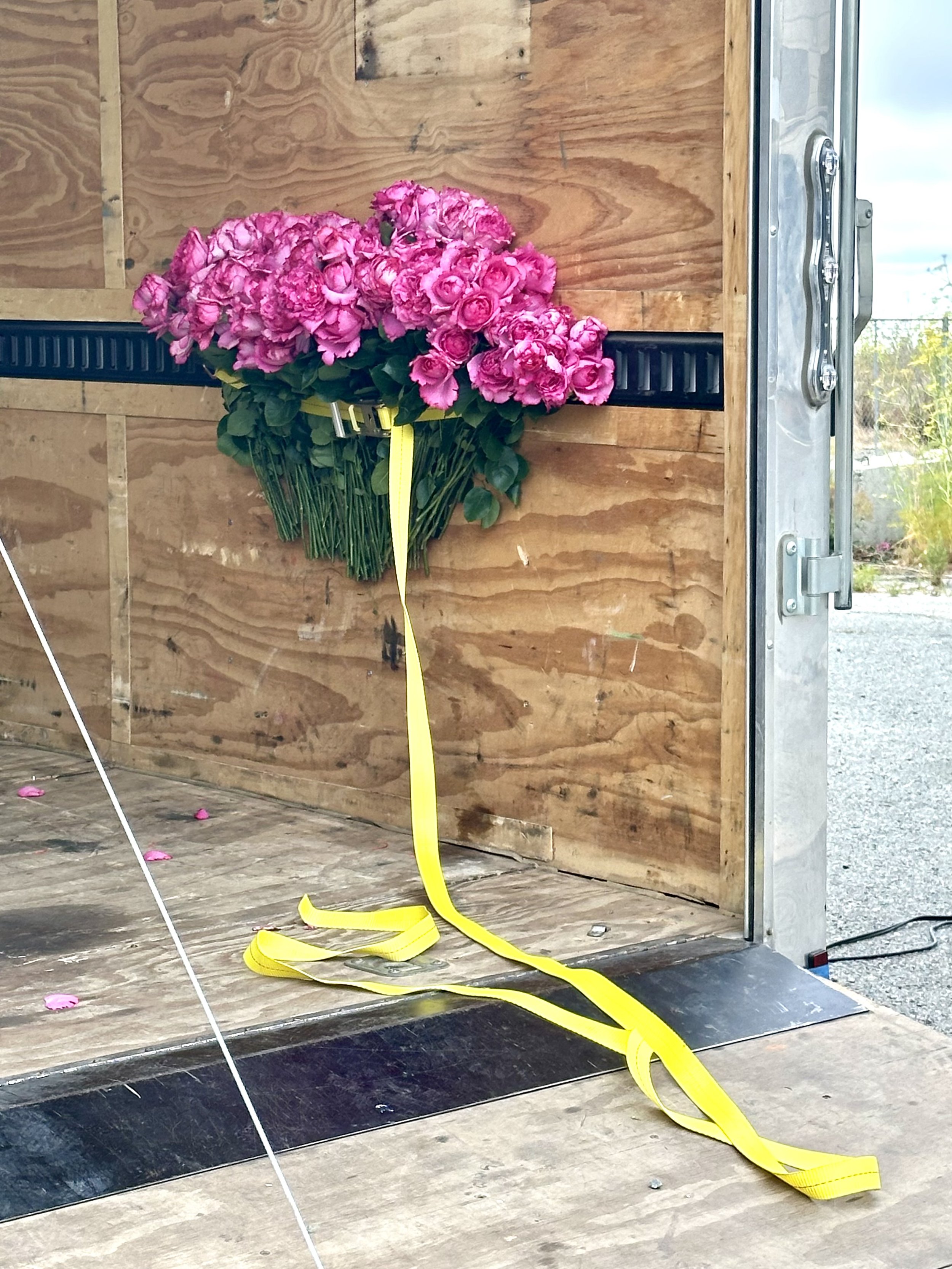 Holding on to something gone, 2026, Yves Piaget Garden Roses, ratchet strap, moving truck, Dimensions variable