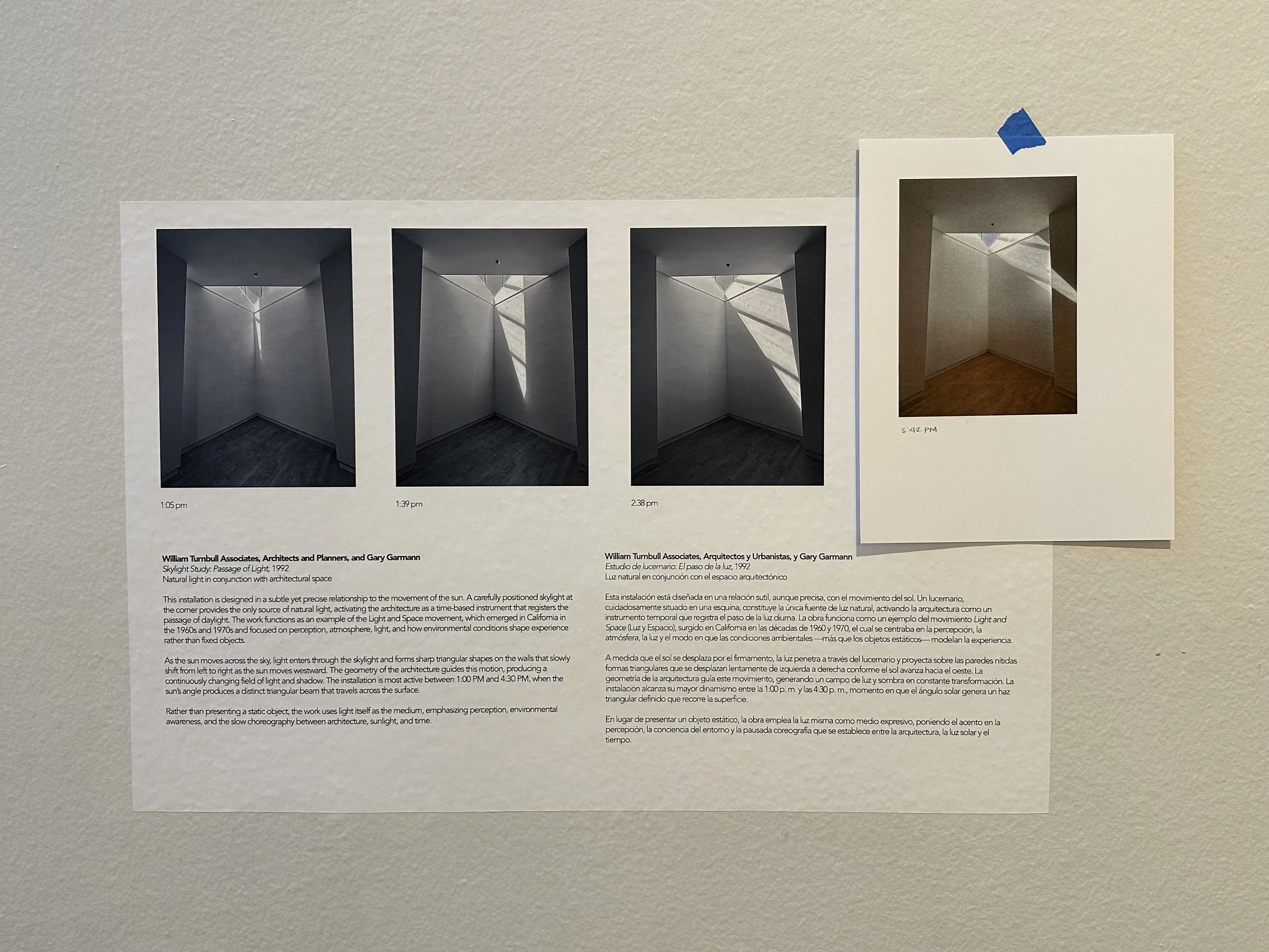 The Things We Did & Didn't Do, 2026, Archives from the Santa Cruz Museum of Art & History, found objects, 900 sq ft. 