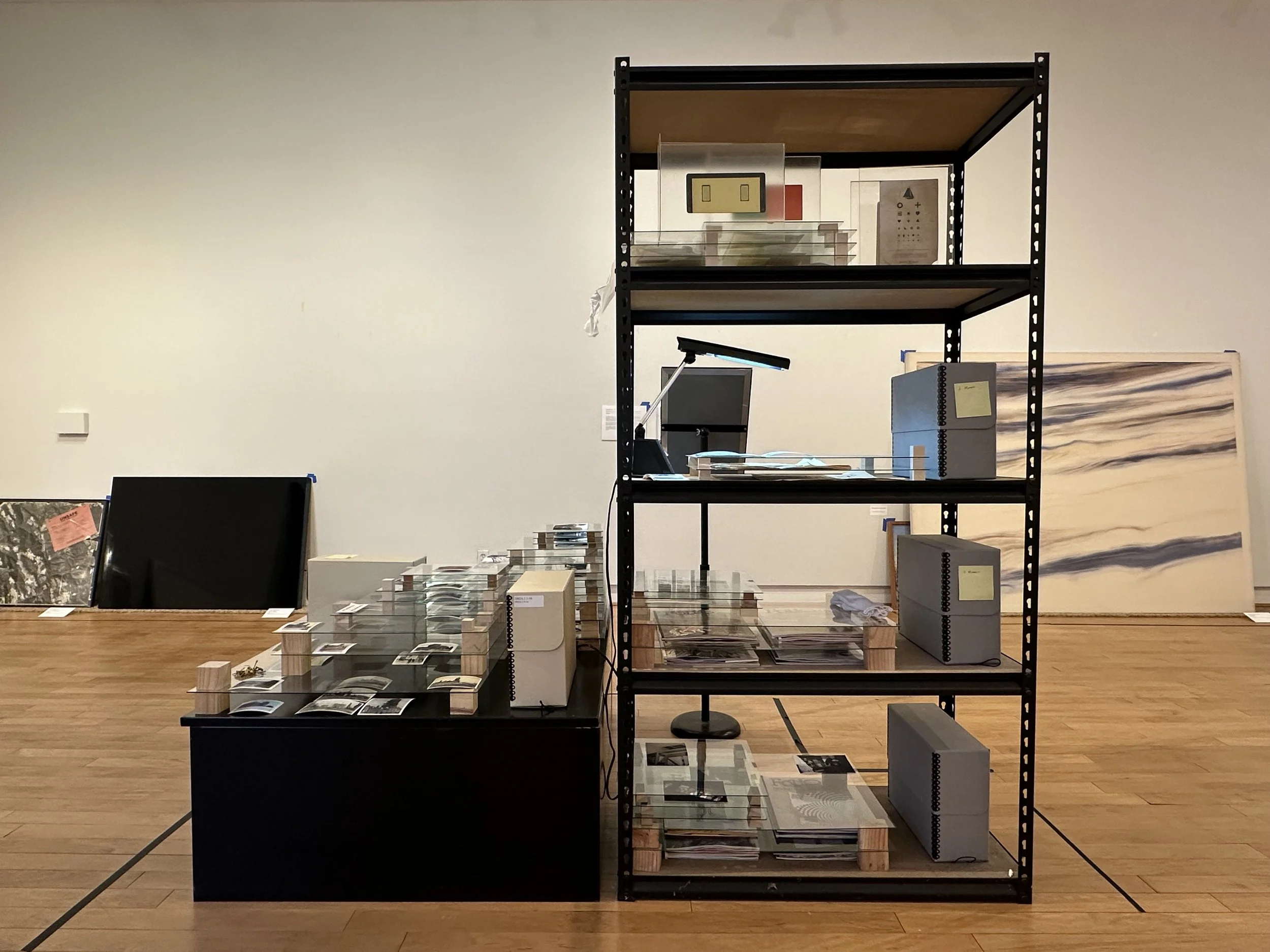 The Things We Did & Didn't Do, 2026, Archives from the Santa Cruz Museum of Art & History, found objects, 900 sq ft. 