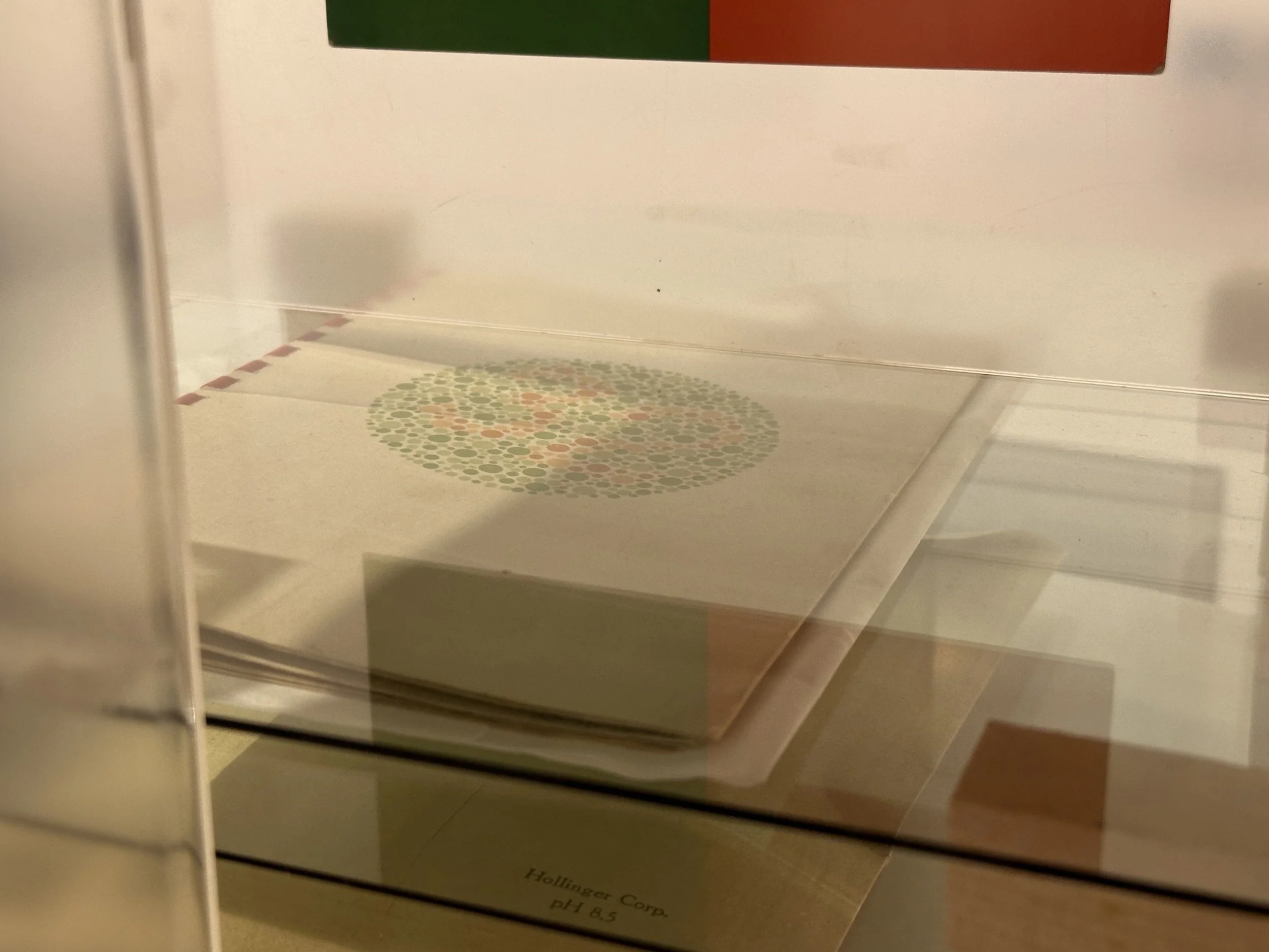The Things We Did & Didn't Do, 2026, Archives from the Santa Cruz Museum of Art & History, found objects, 900 sq ft. 