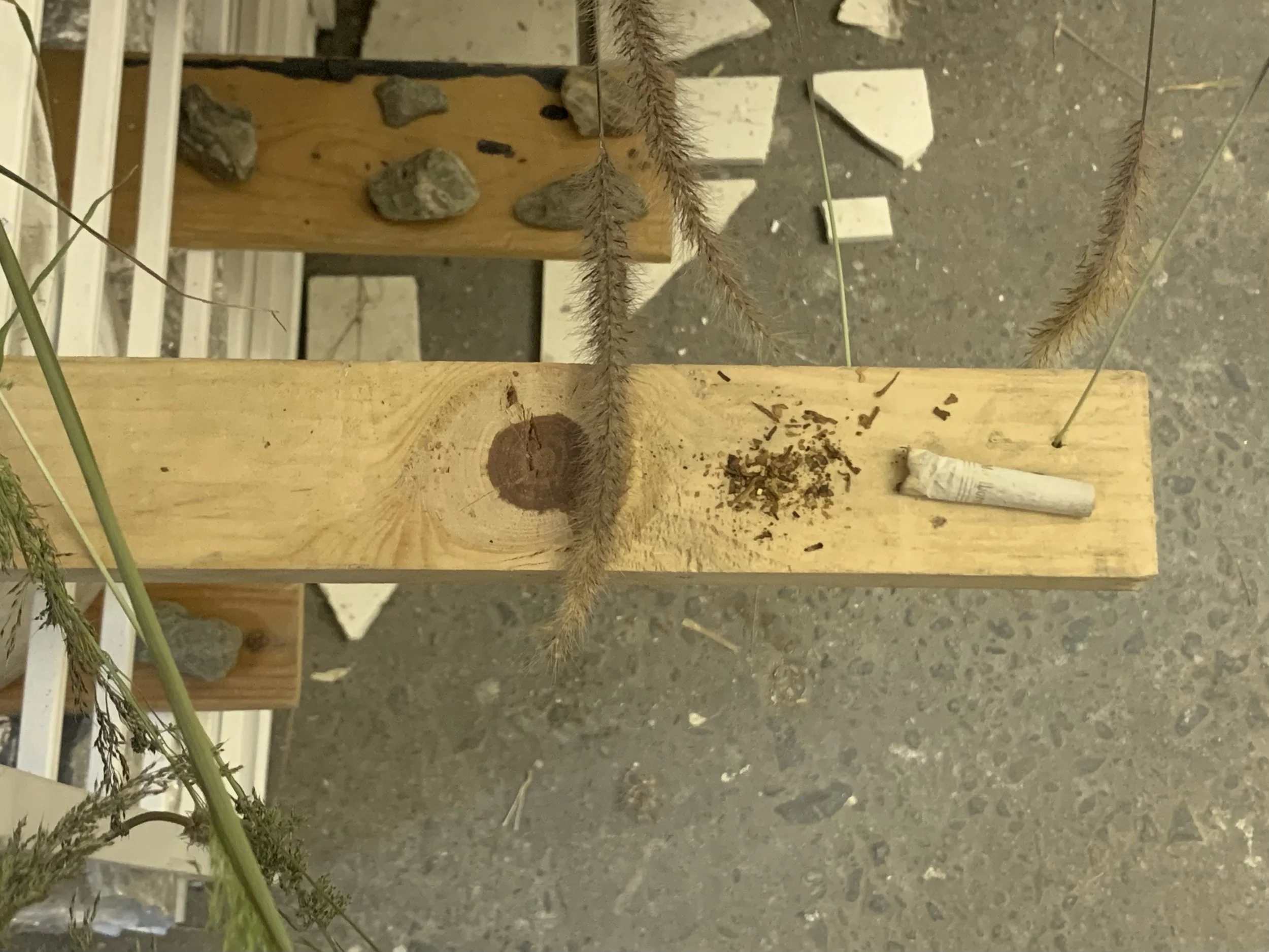 Layered Daze on Mango Haze, 2021, Mixed media, Dimensions variable