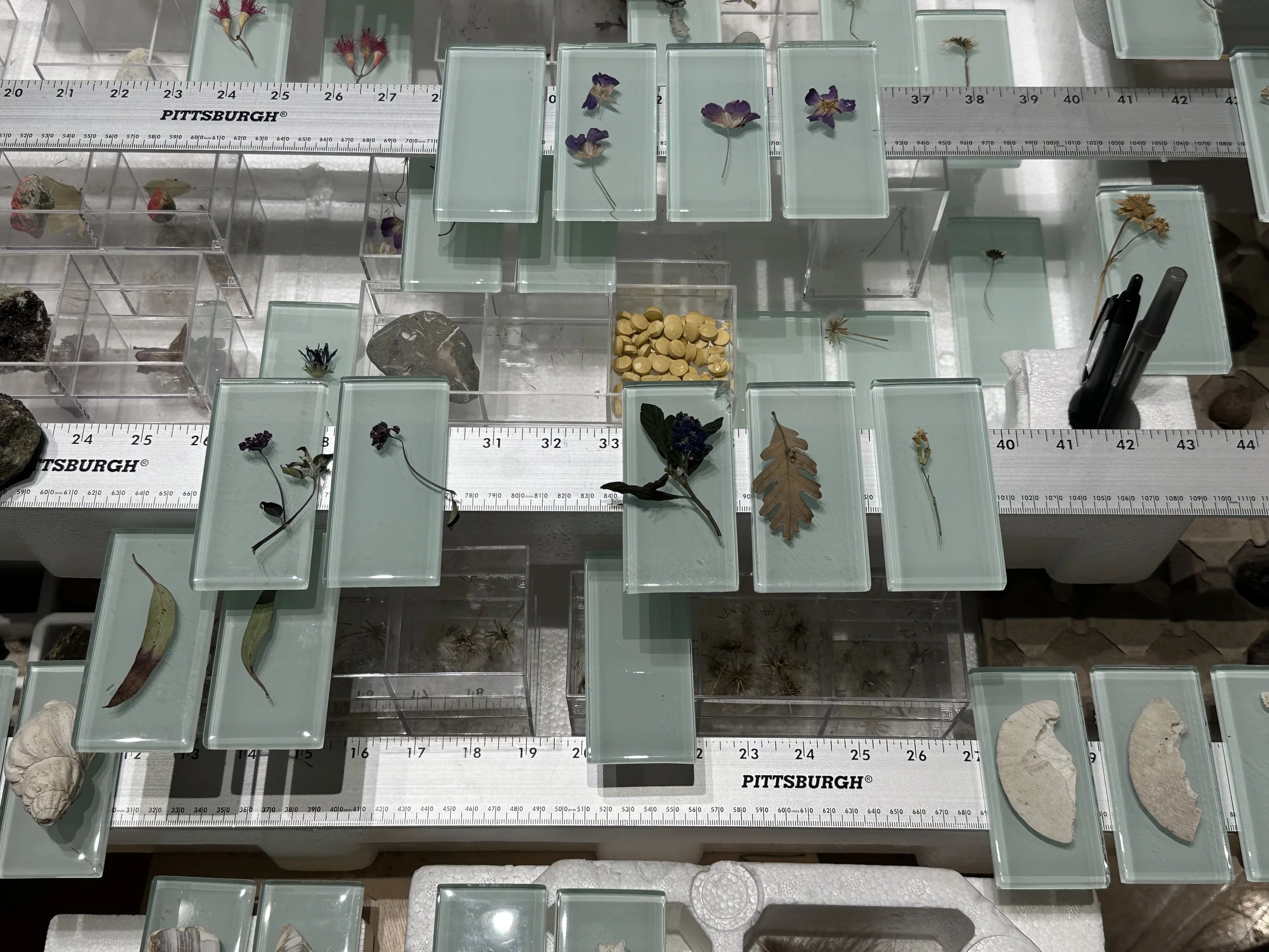 Between Baucis & Two Bays, 2026, Found objects, Dimensions variable
