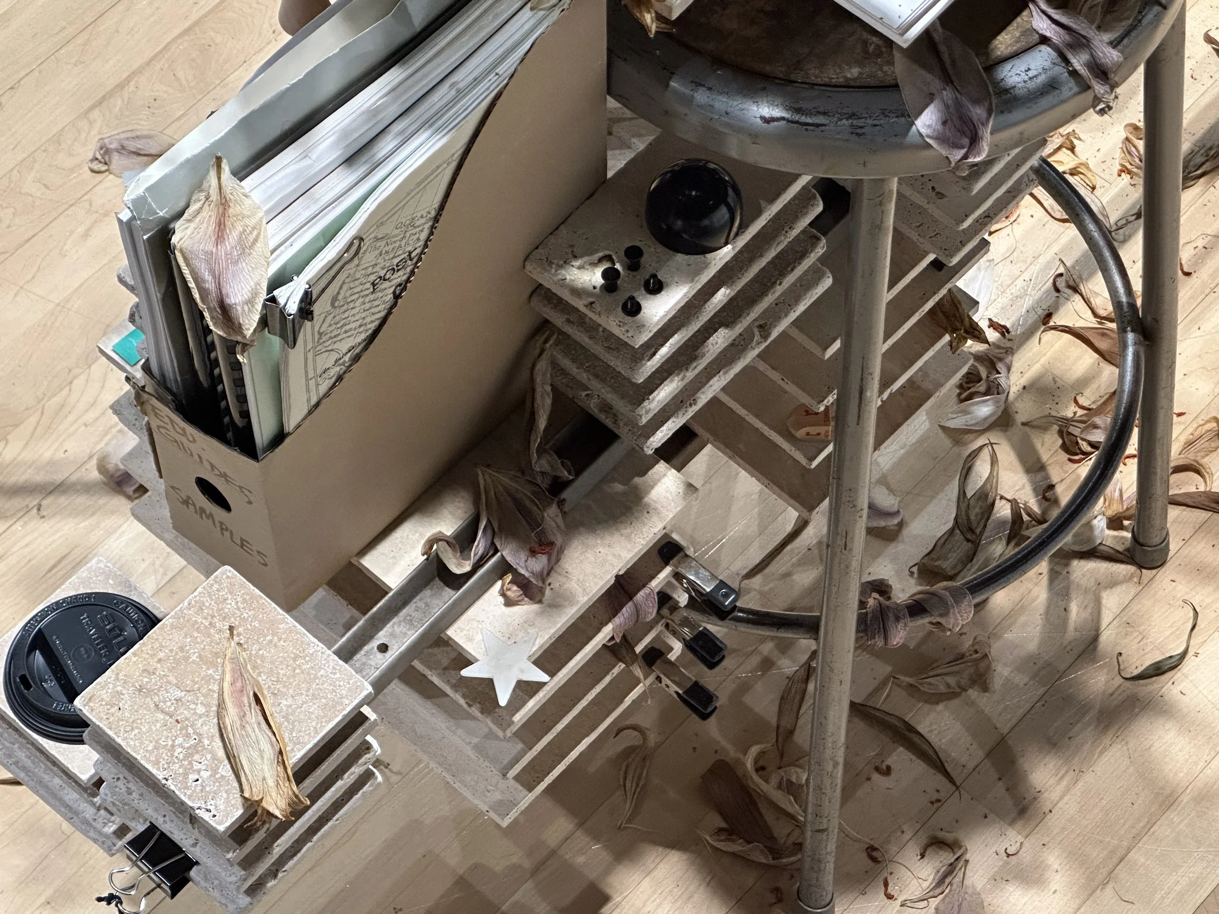Between Baucis & Two Bays, 2026, Found objects, Dimensions variable