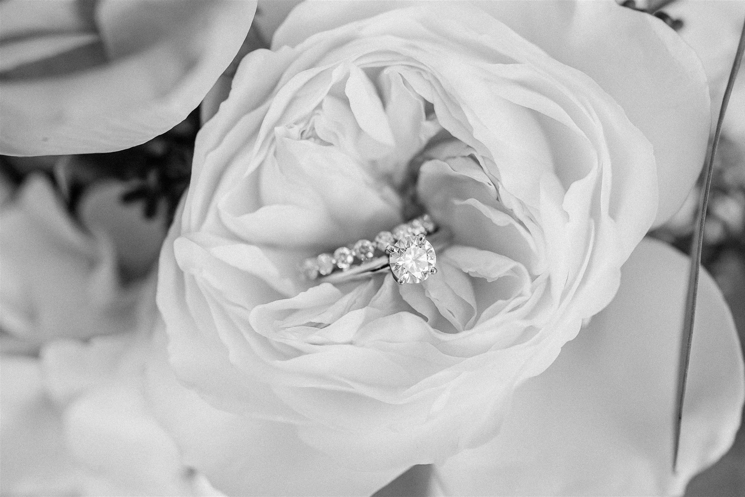 Jacksonville Wedding Photographer -07.jpg