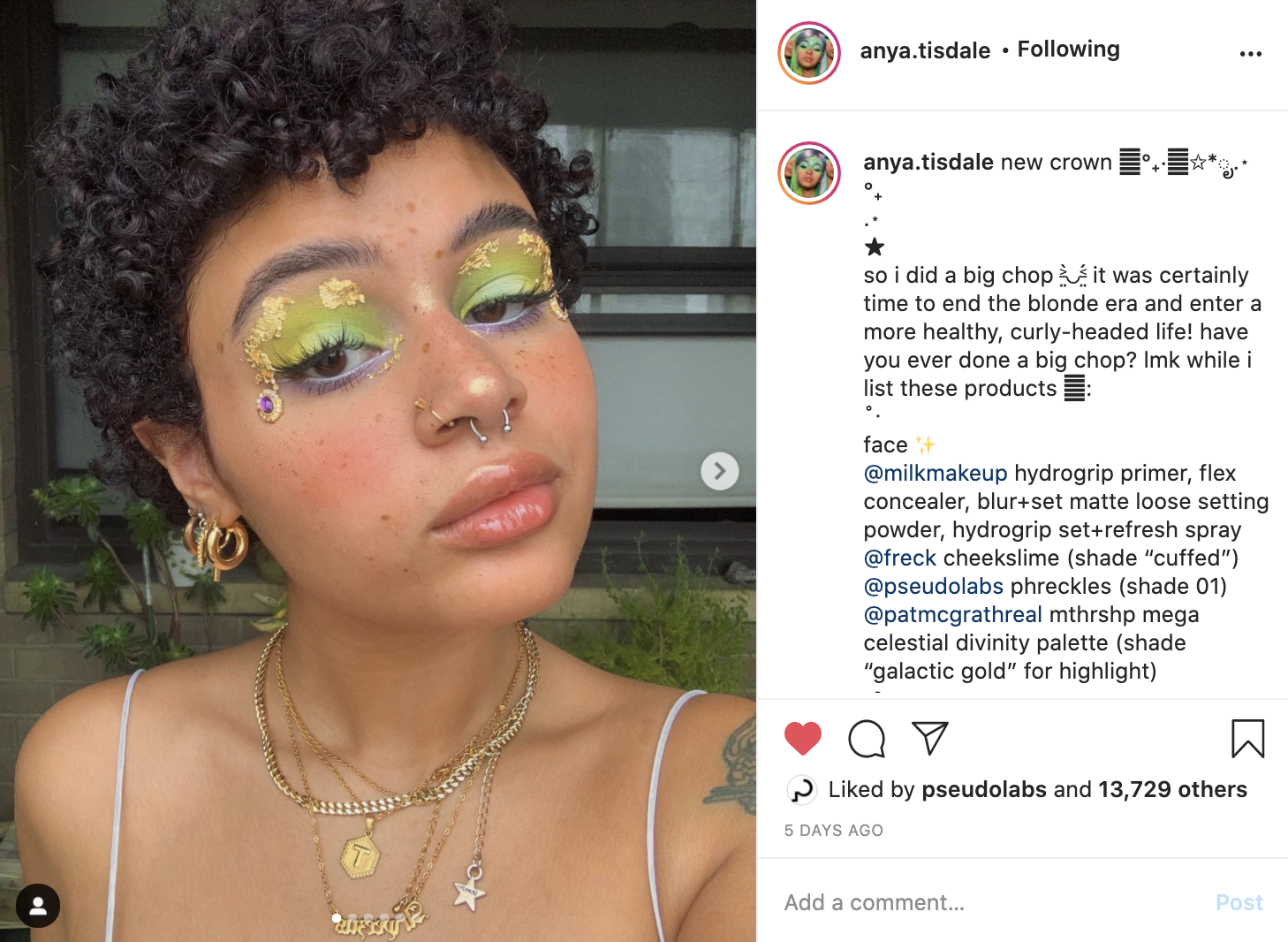 Screen Shot 2020-12-31 at 12.07.33 PM.png