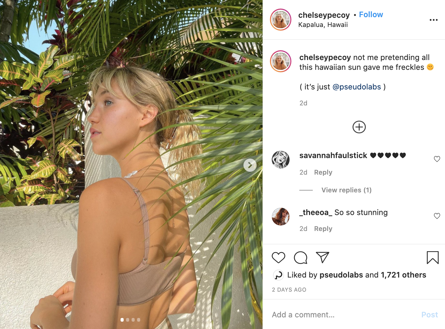 Screen Shot 2020-12-31 at 1.12.24 PM.png