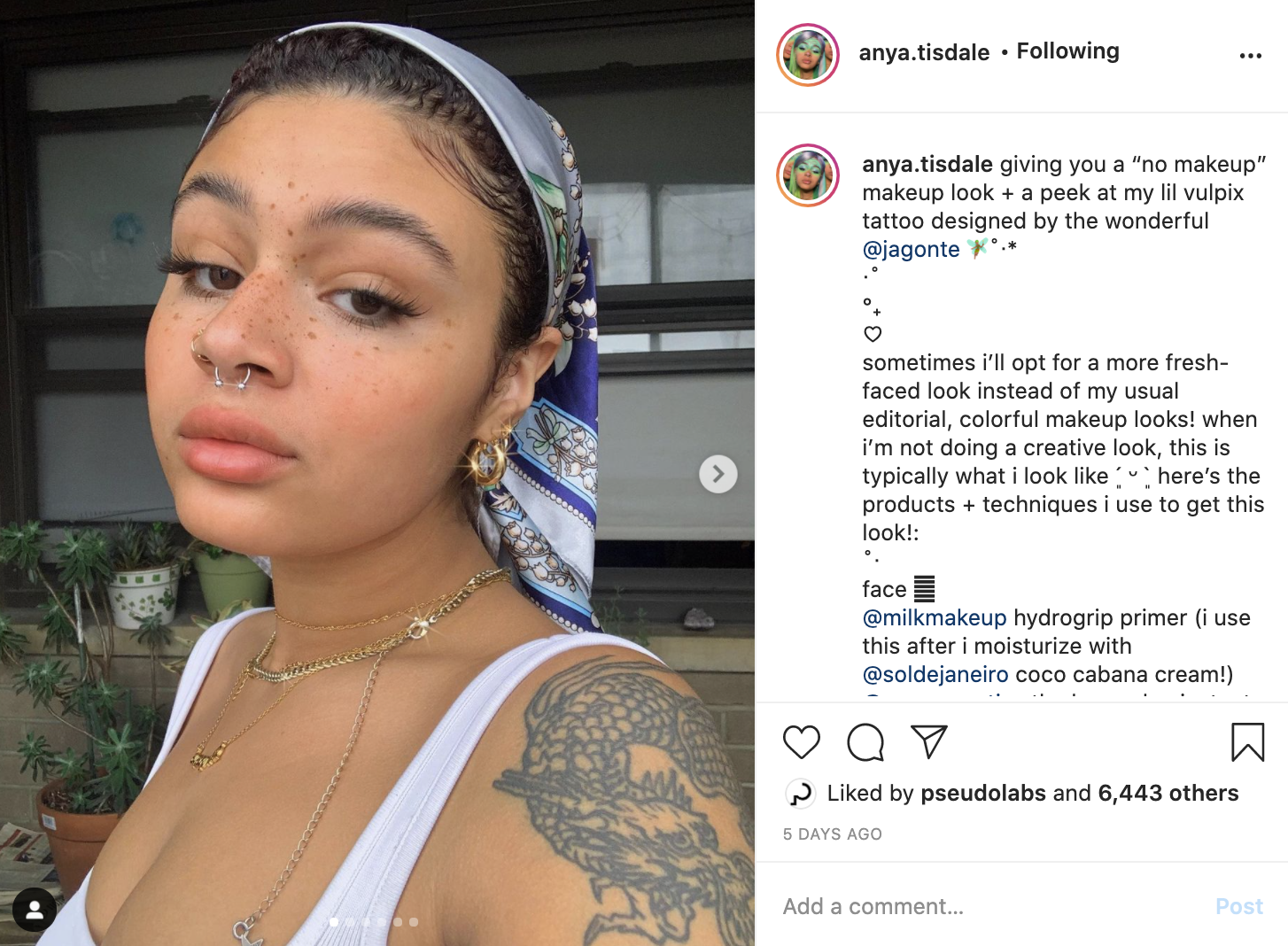 Screen Shot 2021-01-08 at 12.27.45 PM.png