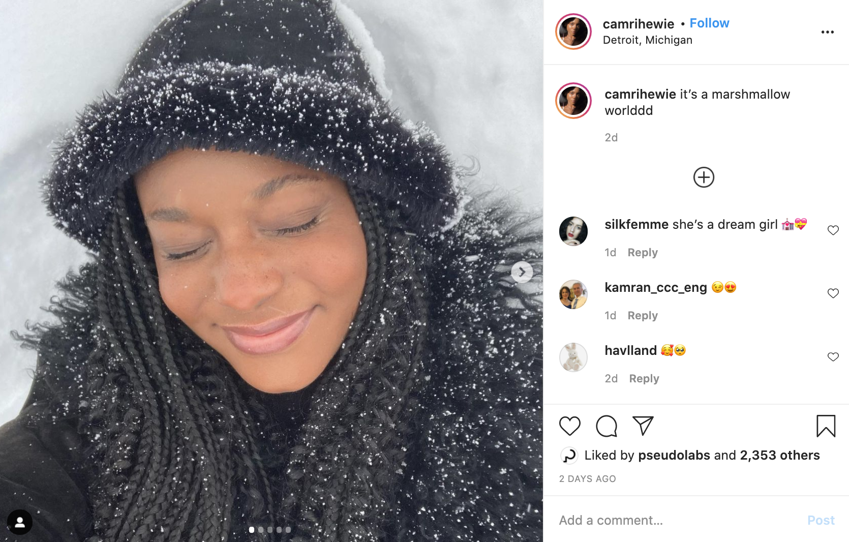 Screen Shot 2021-01-08 at 12.47.03 PM.png