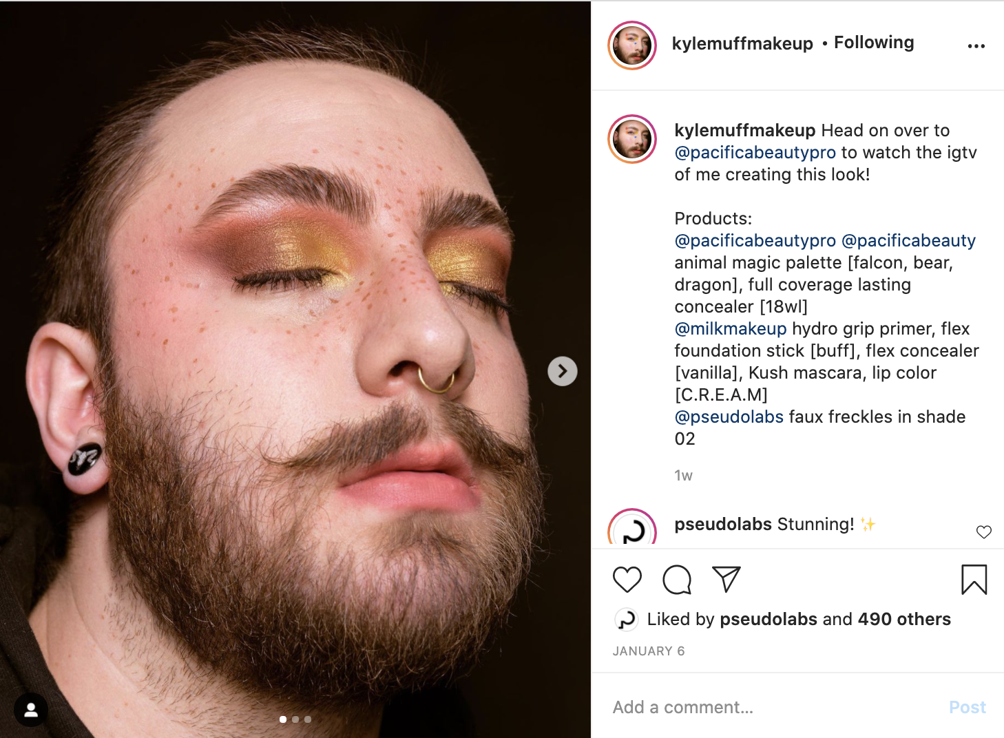 Screen Shot 2021-01-15 at 12.35.38 PM.png