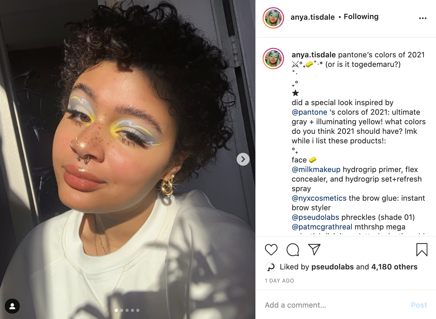 Screen Shot 2021-01-15 at 1.48.04 PM.png