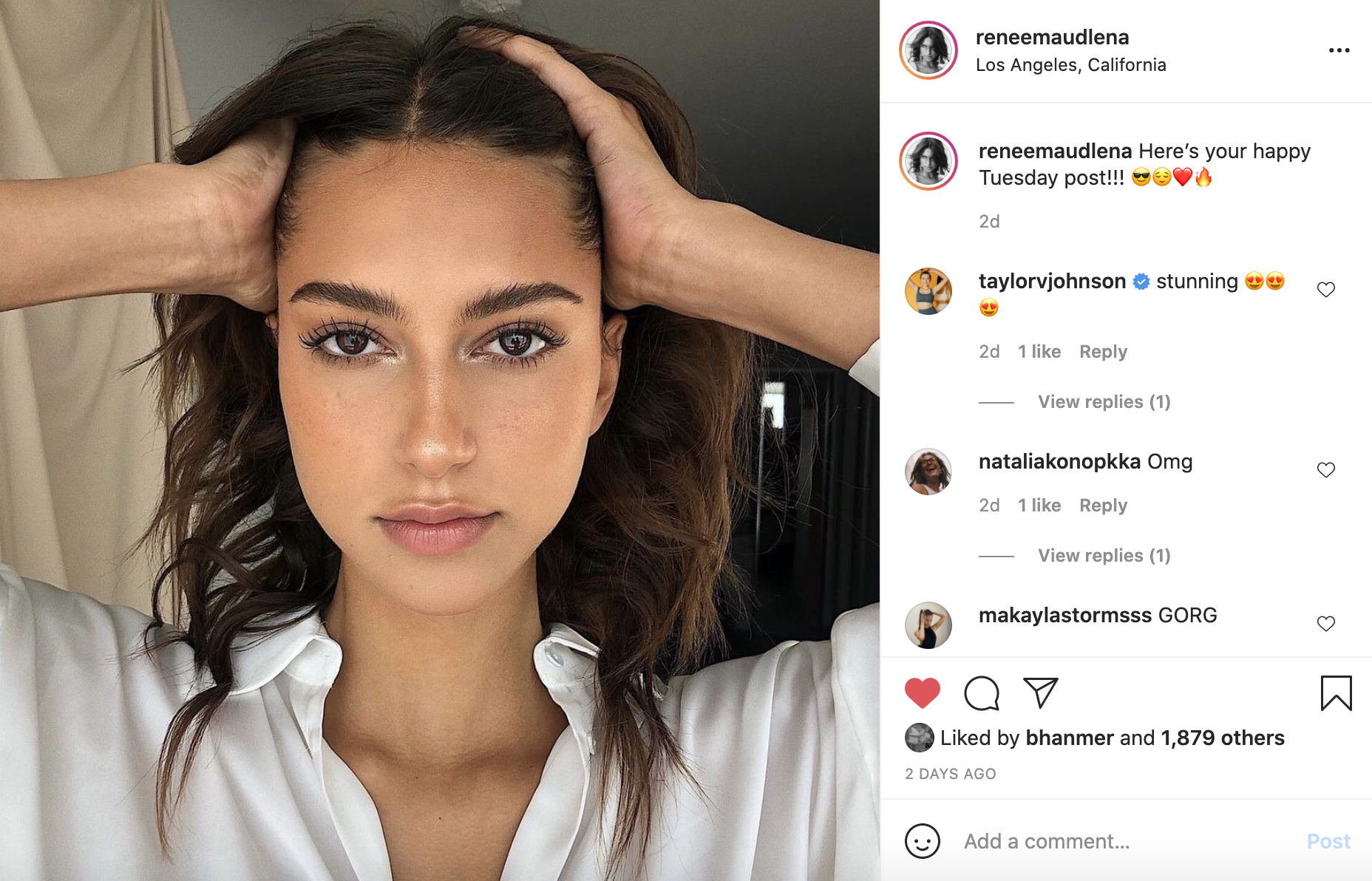 Screen Shot 2021-08-12 at 4.04.52 PM.png