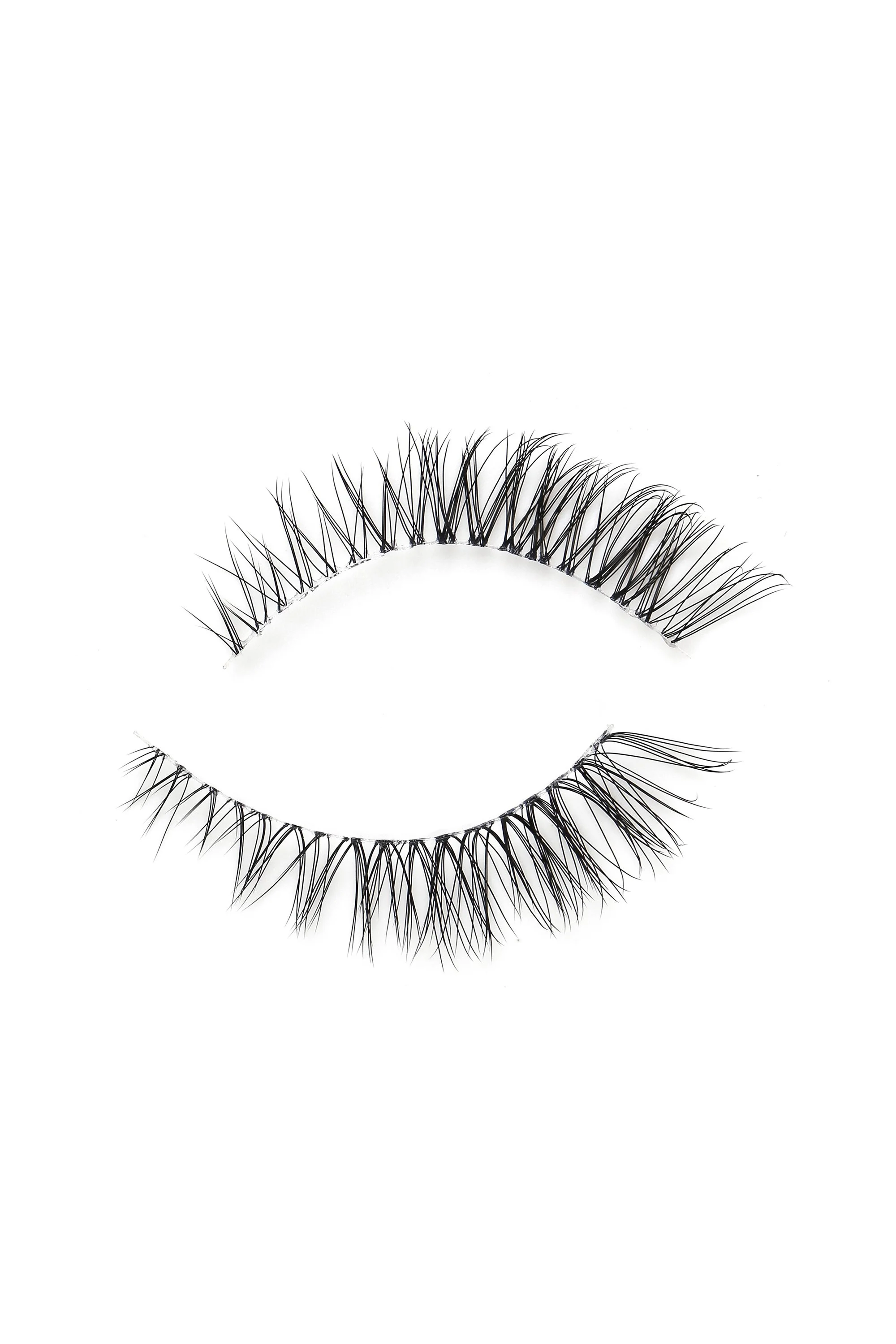 Cilium in BDL 01