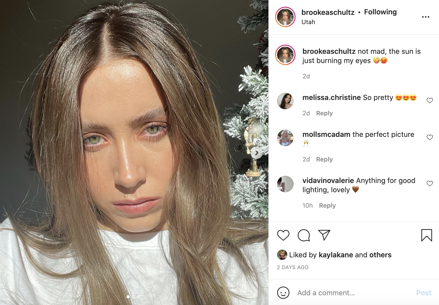 Screen Shot 2021-11-18 at 8.08.07 PM.png