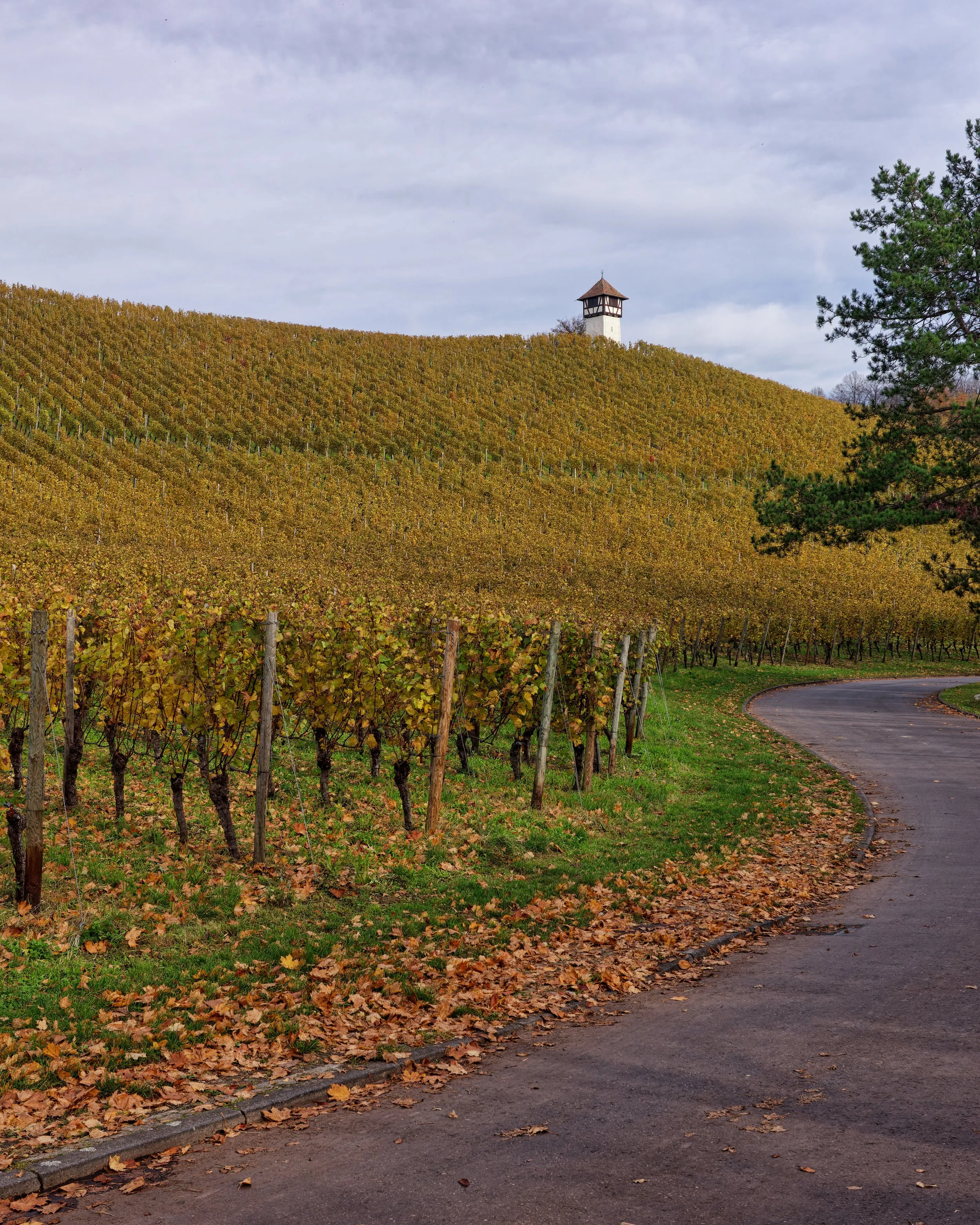 GR001995_DxO small.jpg